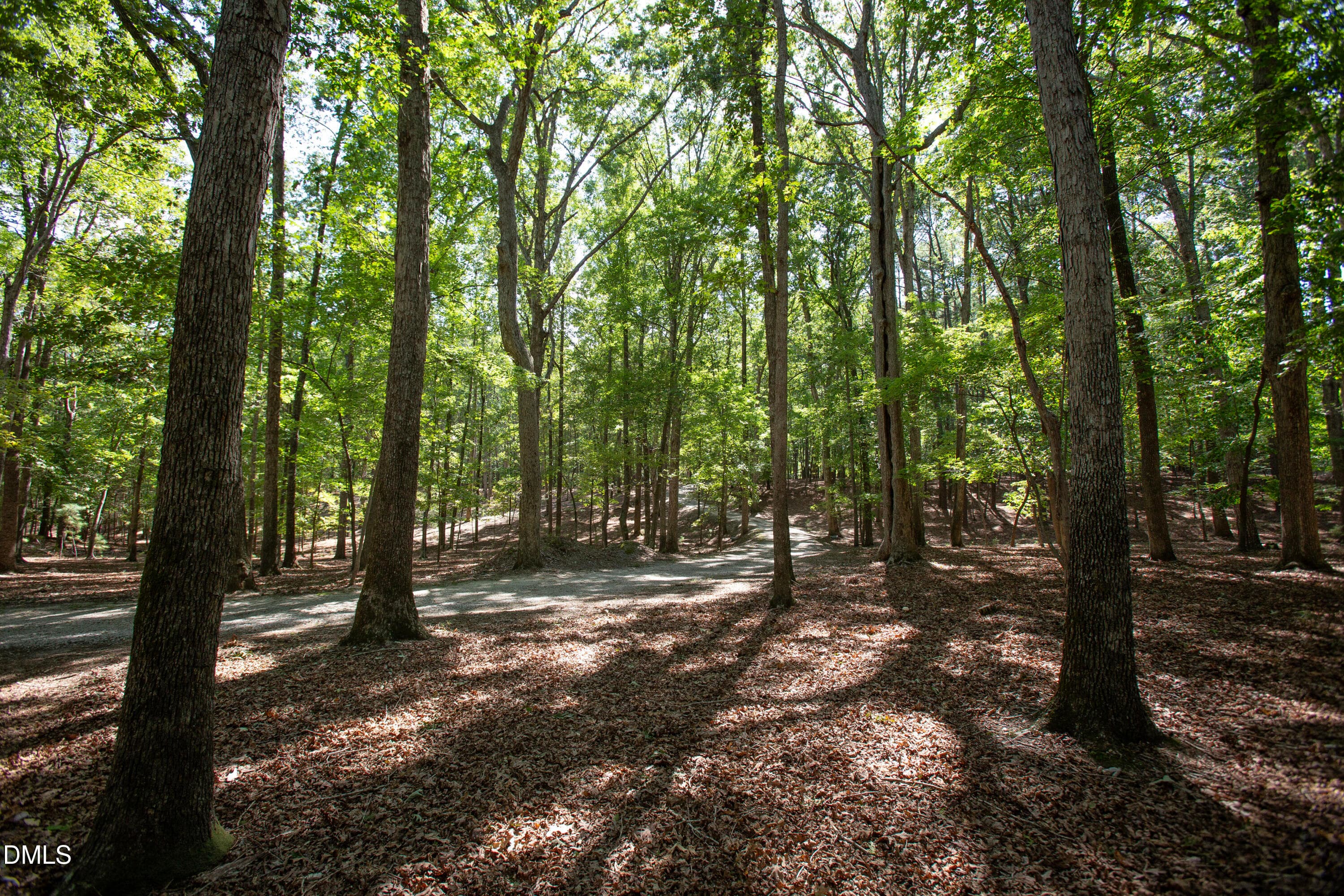 Brassfield 22 - 1716 Brassfield Road, Raleigh, NC 27614