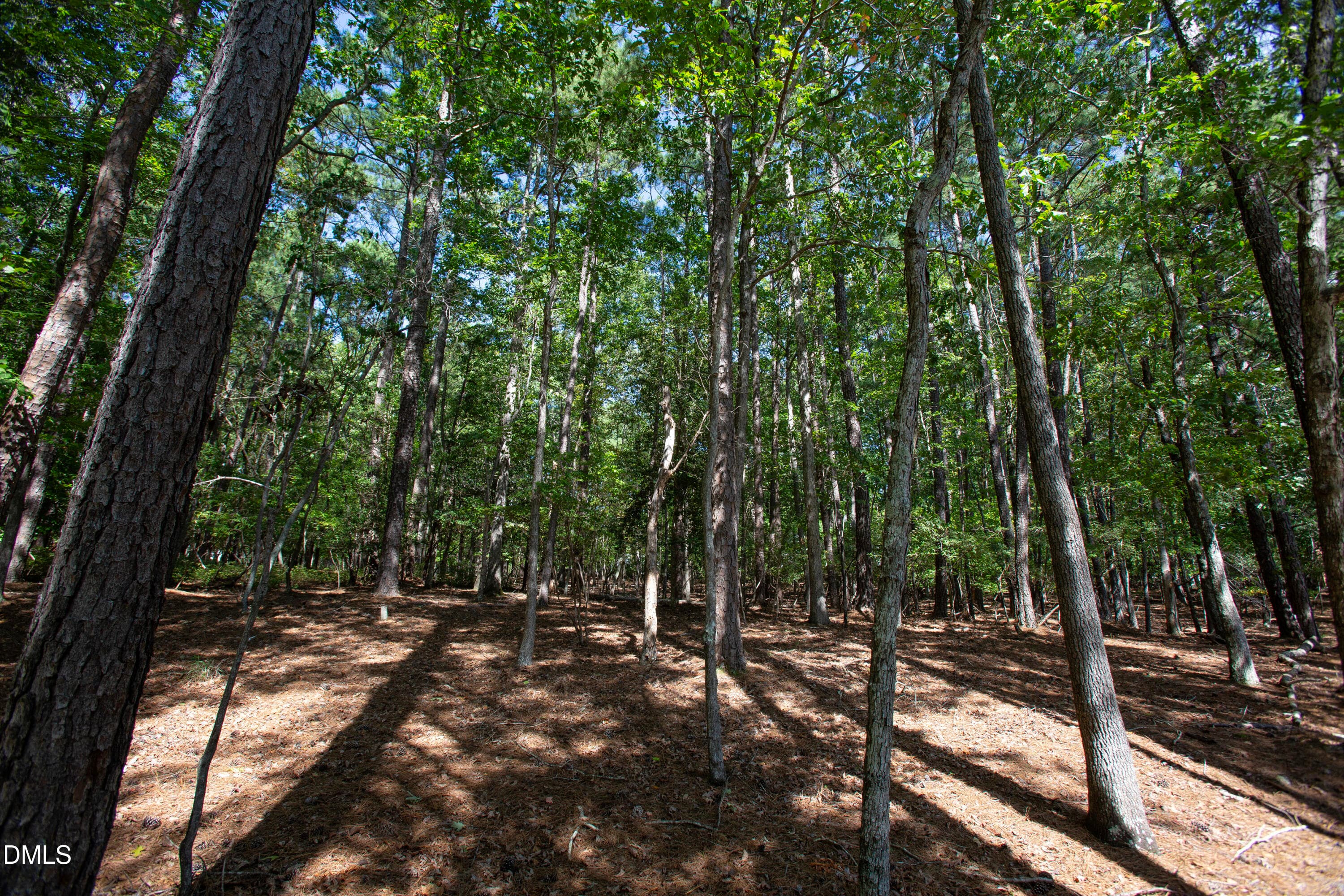Brassfield 14 - 1716 Brassfield Road, Raleigh, NC 27614