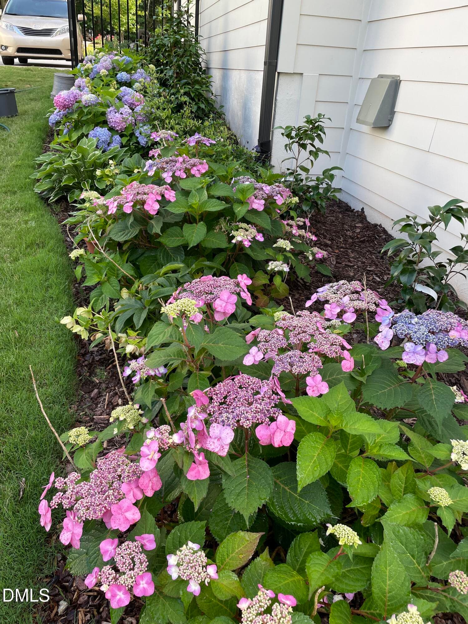 flowers 3 - 1221 Perry Bluff Drive, Wake Forest, NC 27587