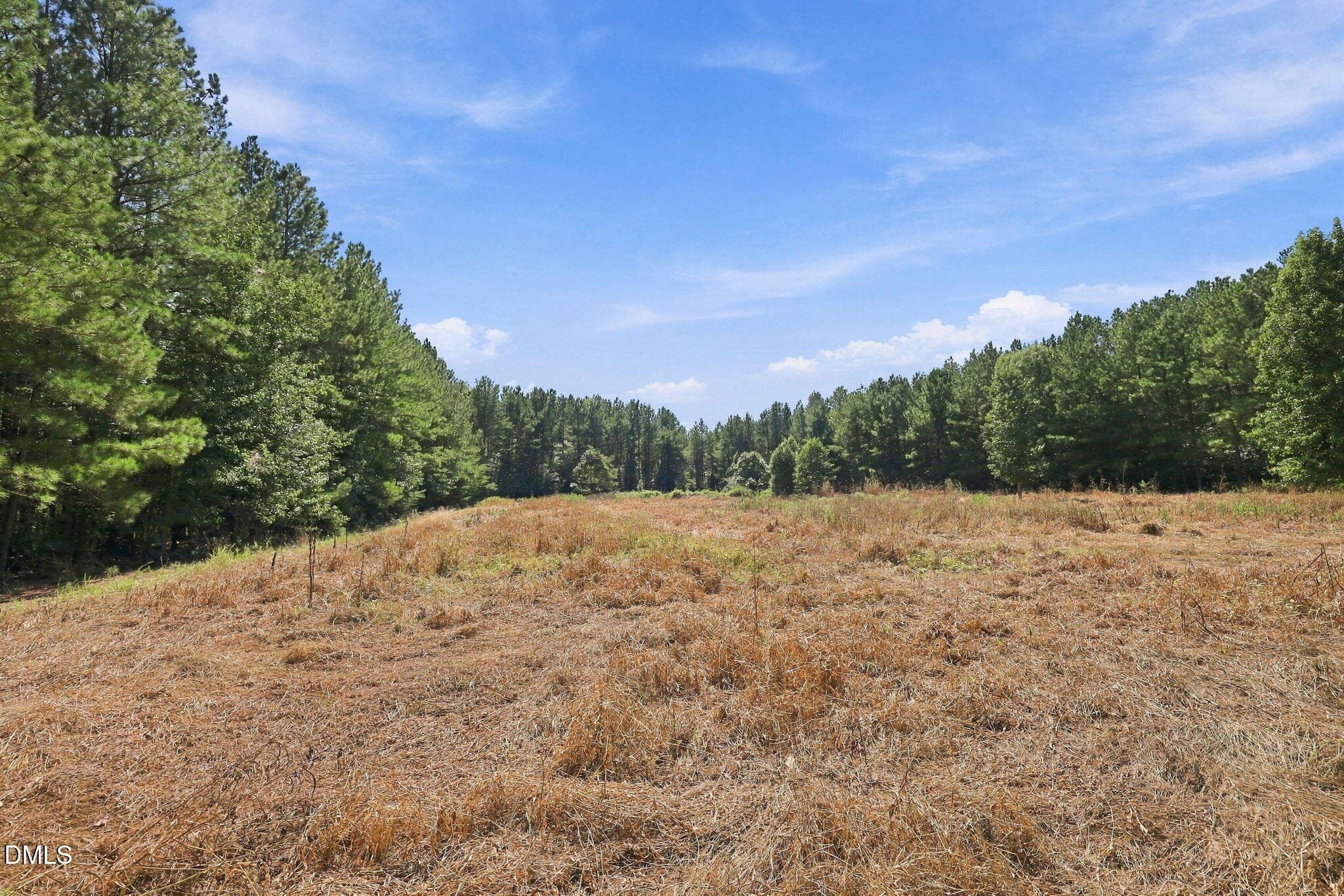12-web-or-mls-IMG_5727 - 0 Sunset Road, Oxford, NC 27565