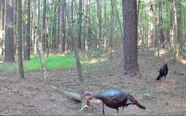 Turkey - 0 Sunset Road, Oxford, NC 27565