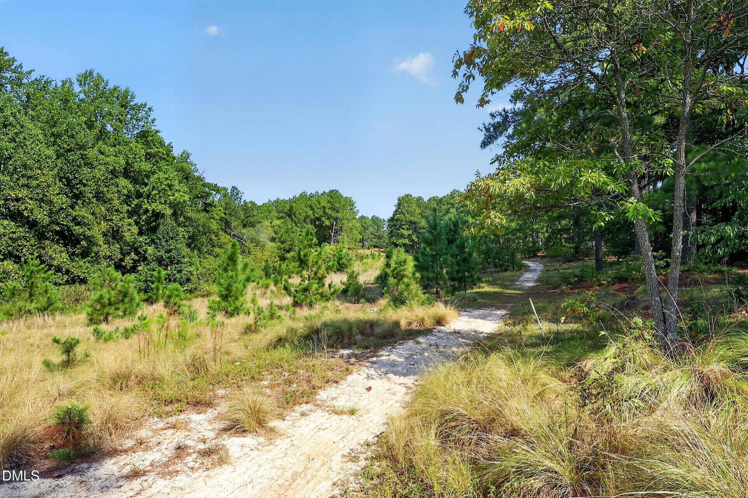 013_KV0A4599 - 91 Green Links Drive, Cameron, NC 28326, Cameron