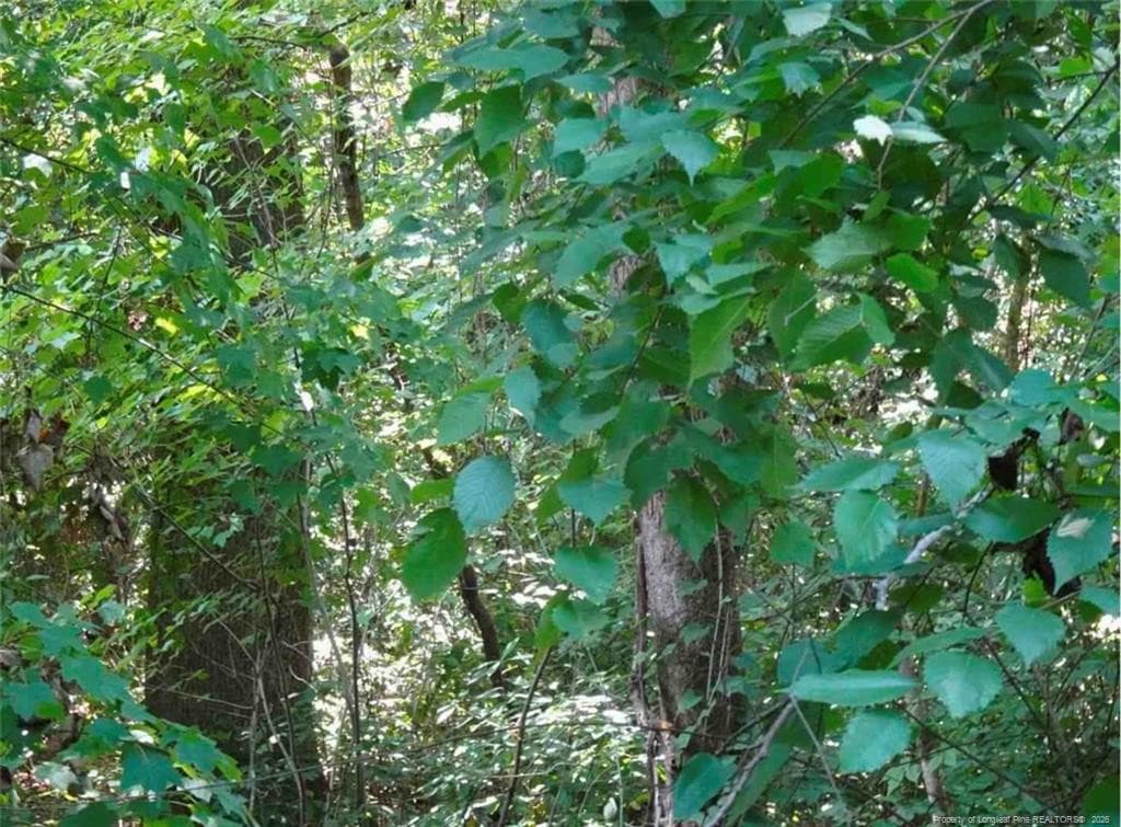 rear view - 000 Gilbert Road, Eastover, NC 28312