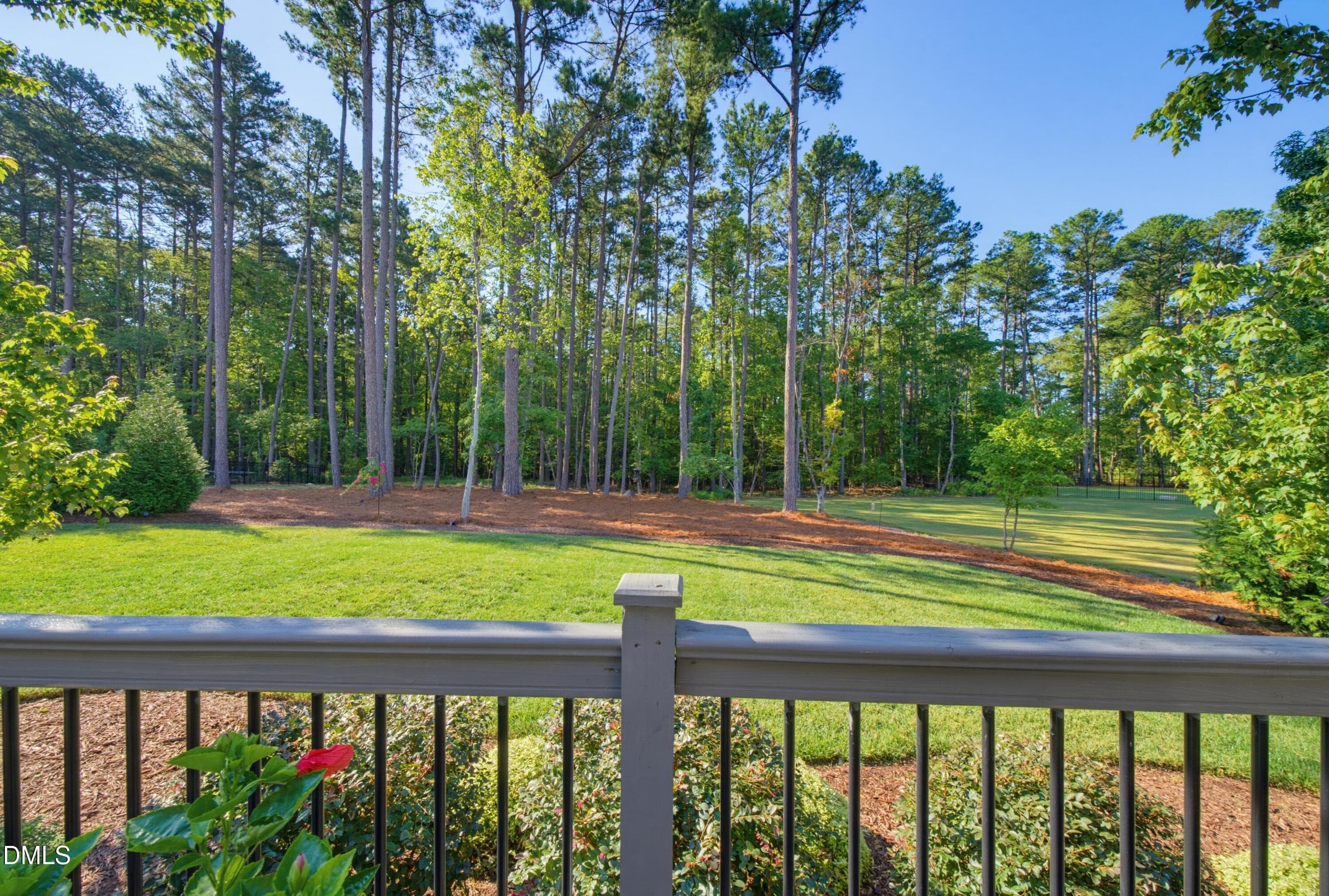DSC06283 - 912 Harrison Ridge Road, Wake Forest, NC 27587, Wake Forest