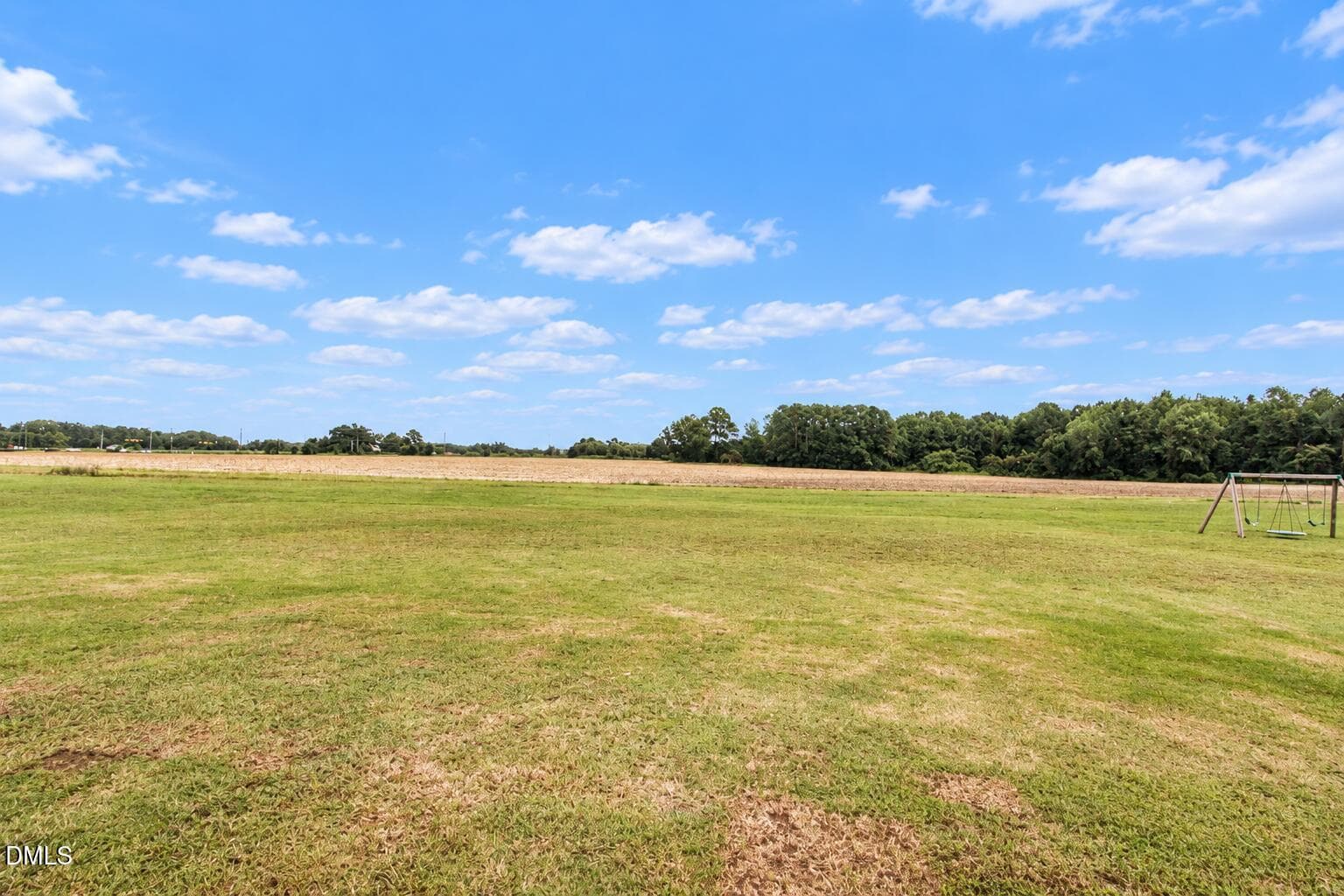 Rear Yard - 1787 Bedfordshire Road, Nashville, NC 27856, Nashville