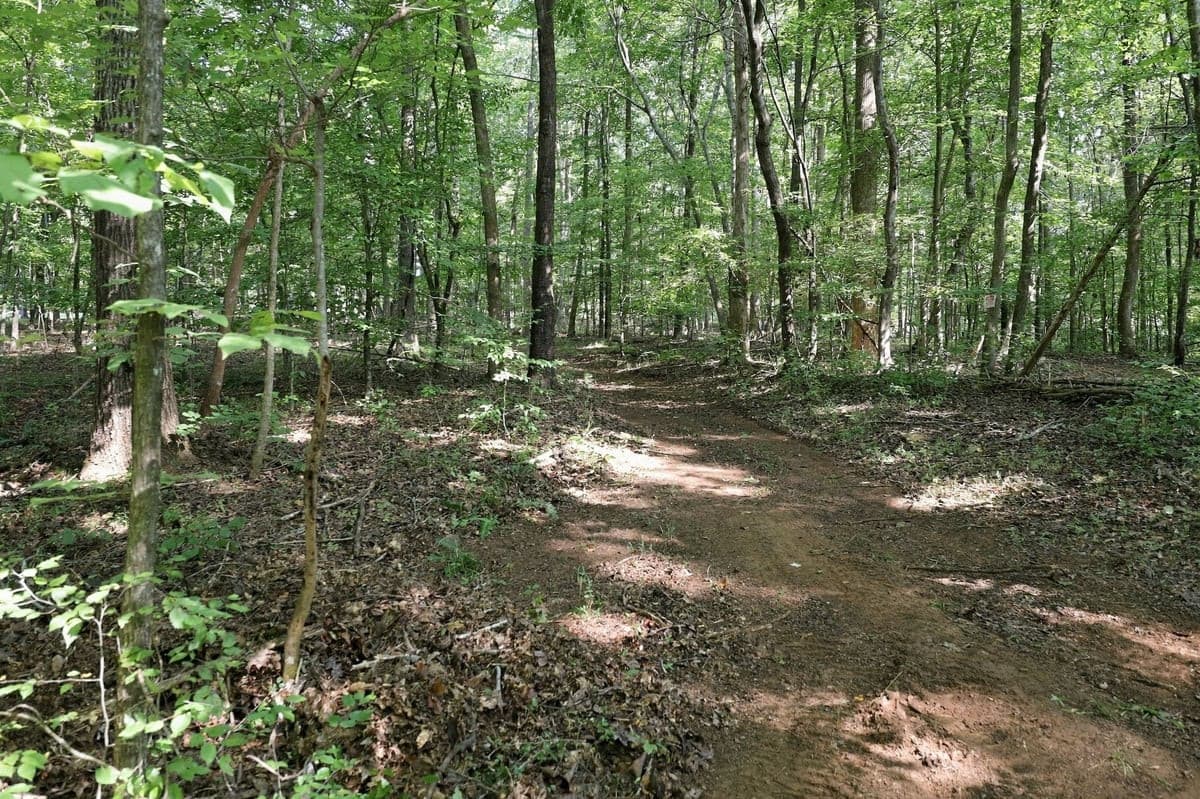 110-web-or-mls-IMG_1348.jpg - 4592 Boogaboo Trail, Rougemont, NC 27572