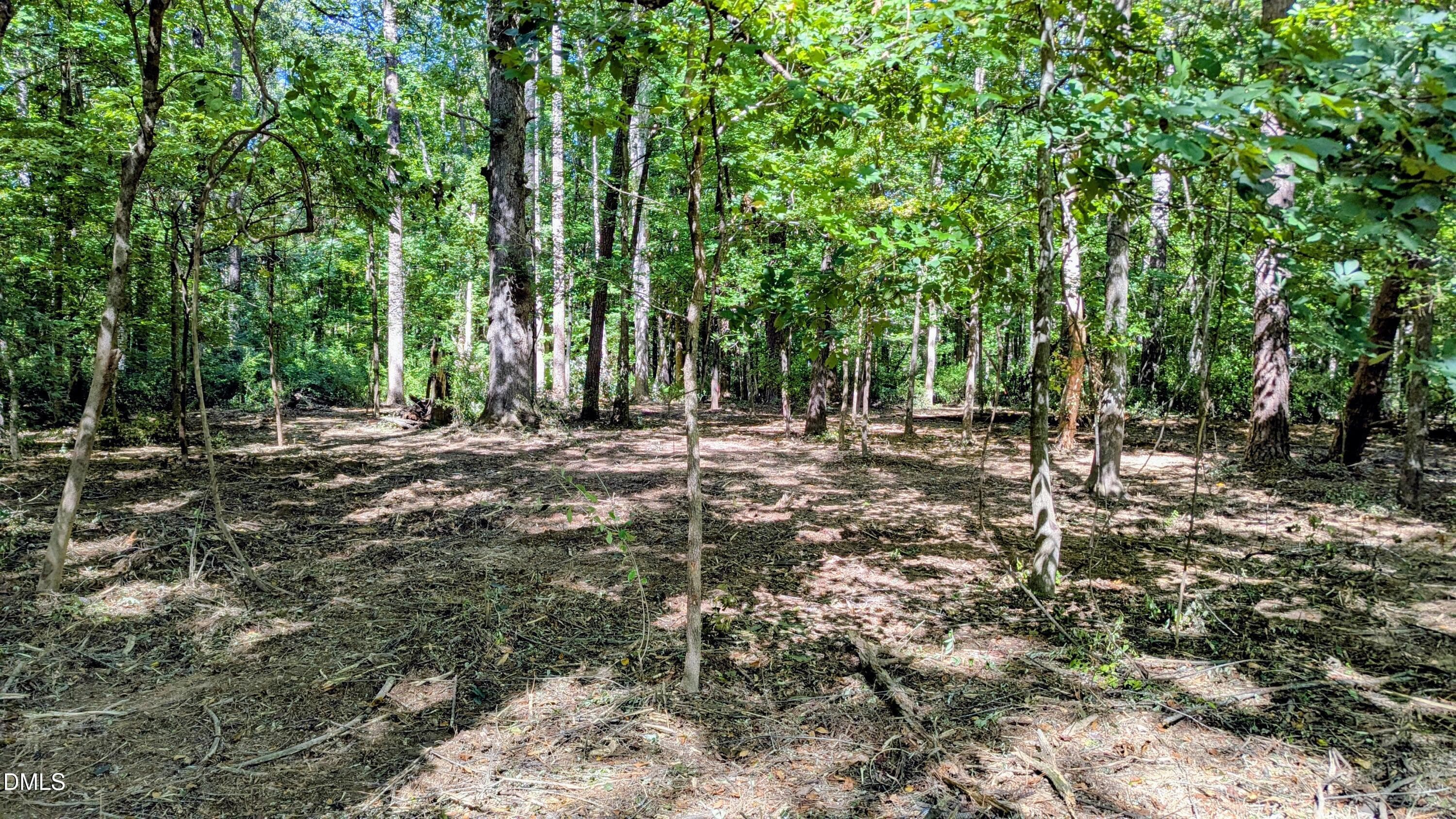Cleared for septic - Lot 1 Blueberry Lane, Chapel Hill, NC 27516, Chapel Hill