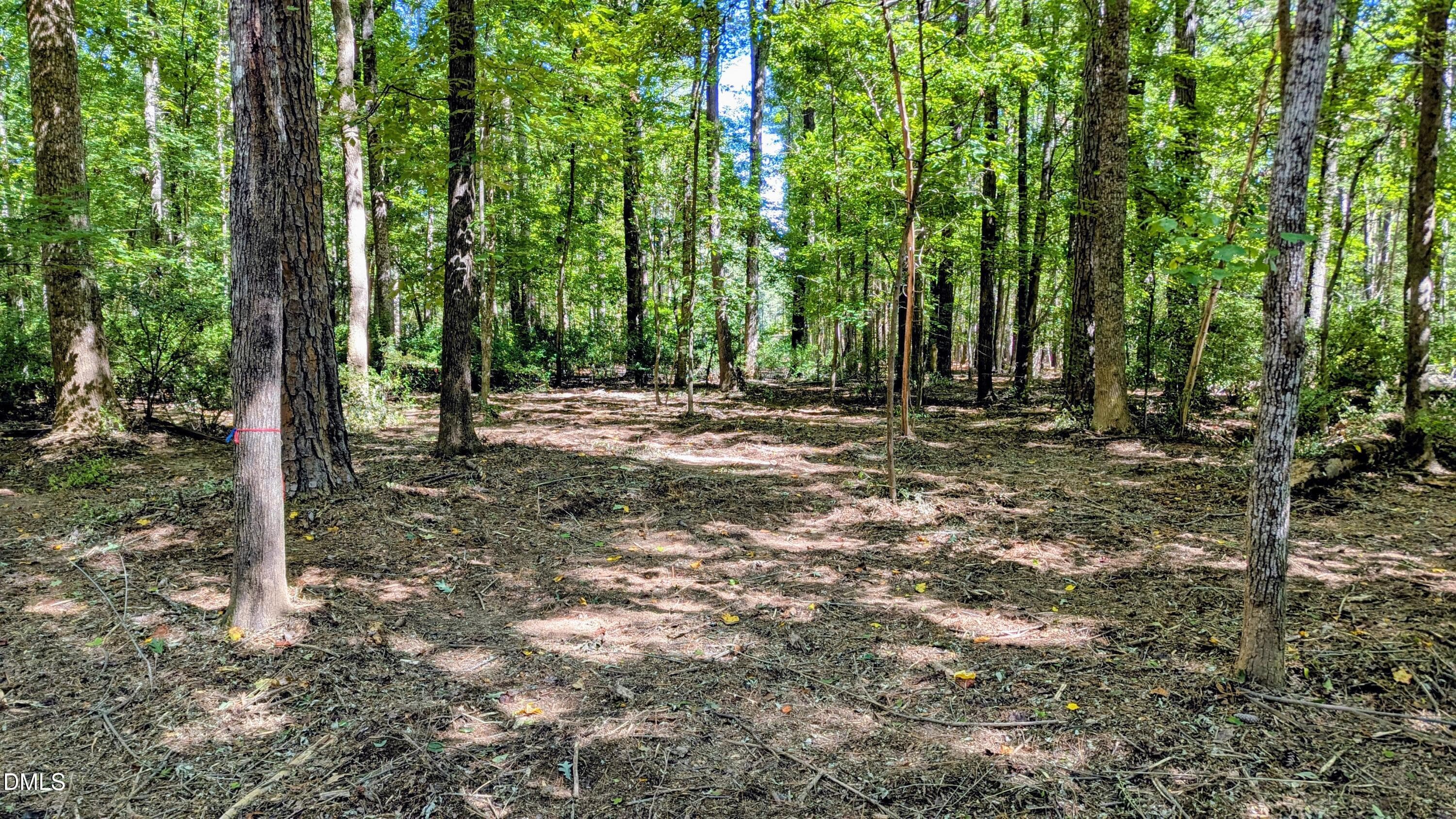 Potential home site cleared too - Lot 1 Blueberry Lane, Chapel Hill, NC 27516, Chapel Hill
