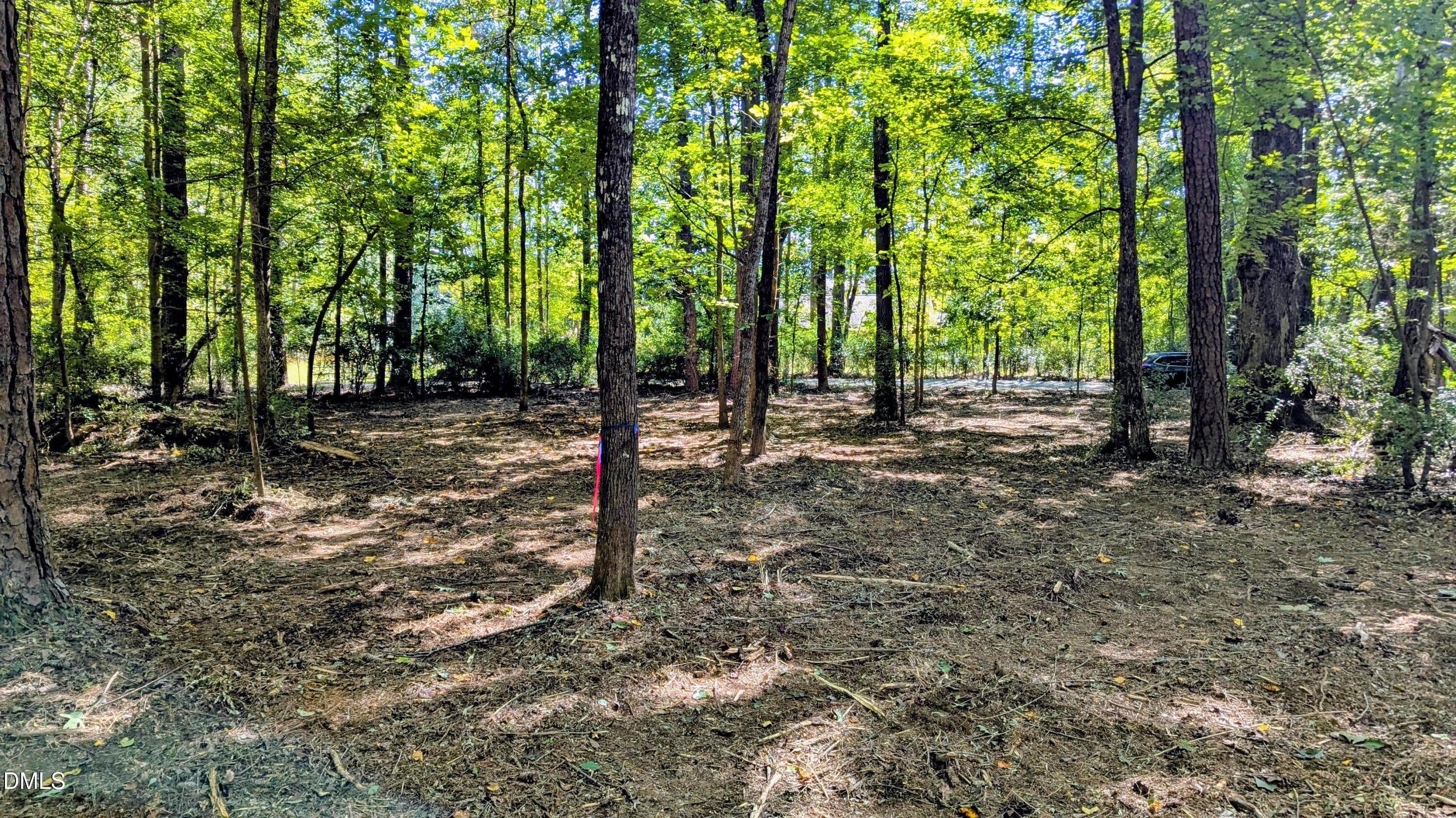 Cleared for septic - Lot 1 Blueberry Lane, Chapel Hill, NC 27516, Chapel Hill