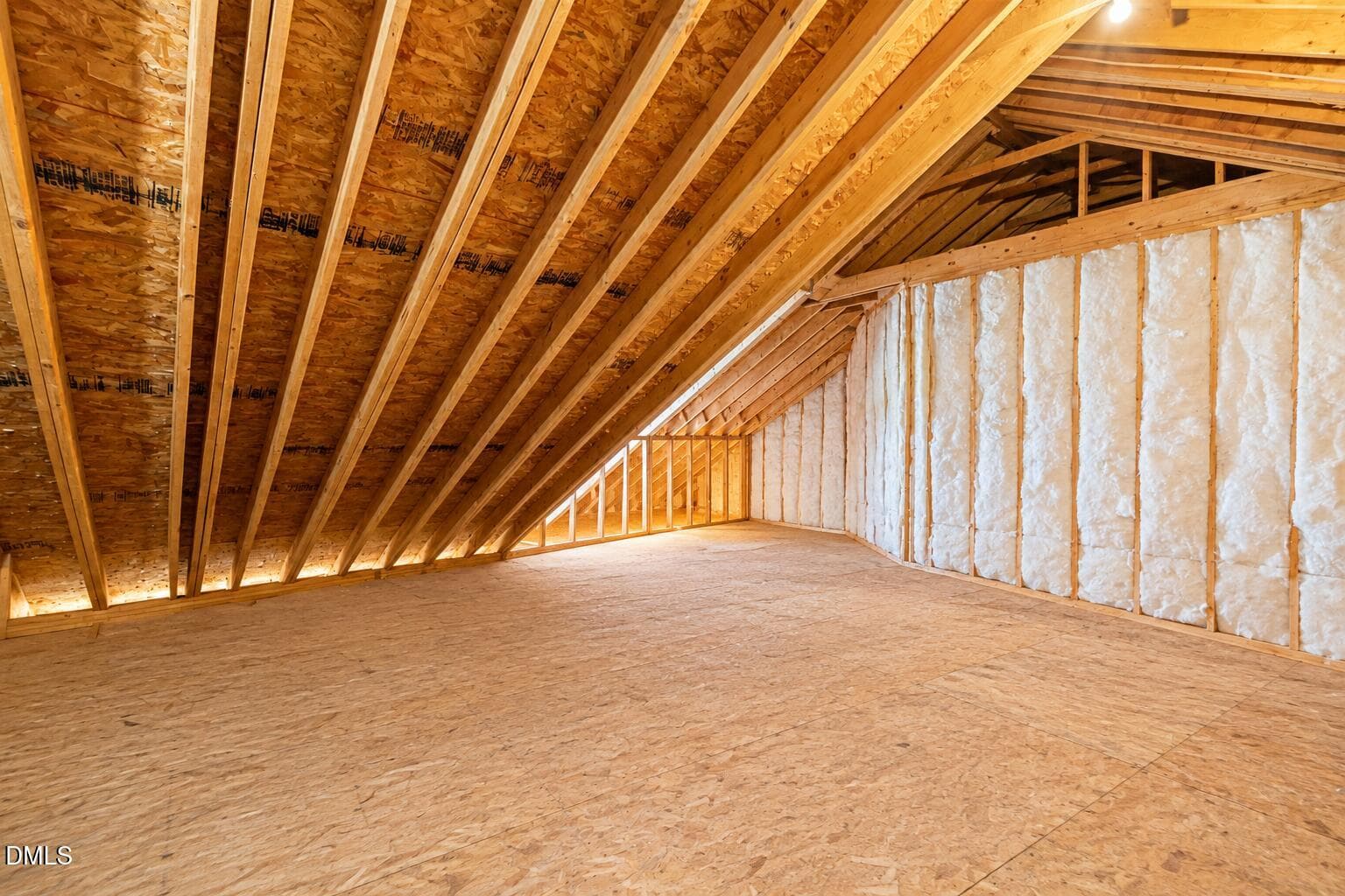 empty attic space - 179 D'ango Circle, Angier, NC 27501