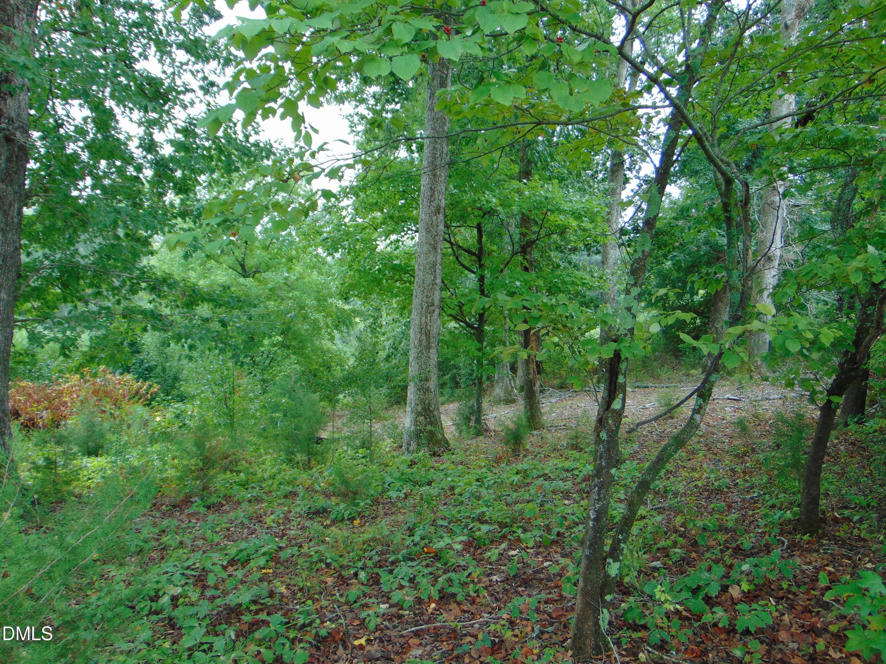 DSC01619 - 0 County Home Rd., Yanceyville, NC 27379
