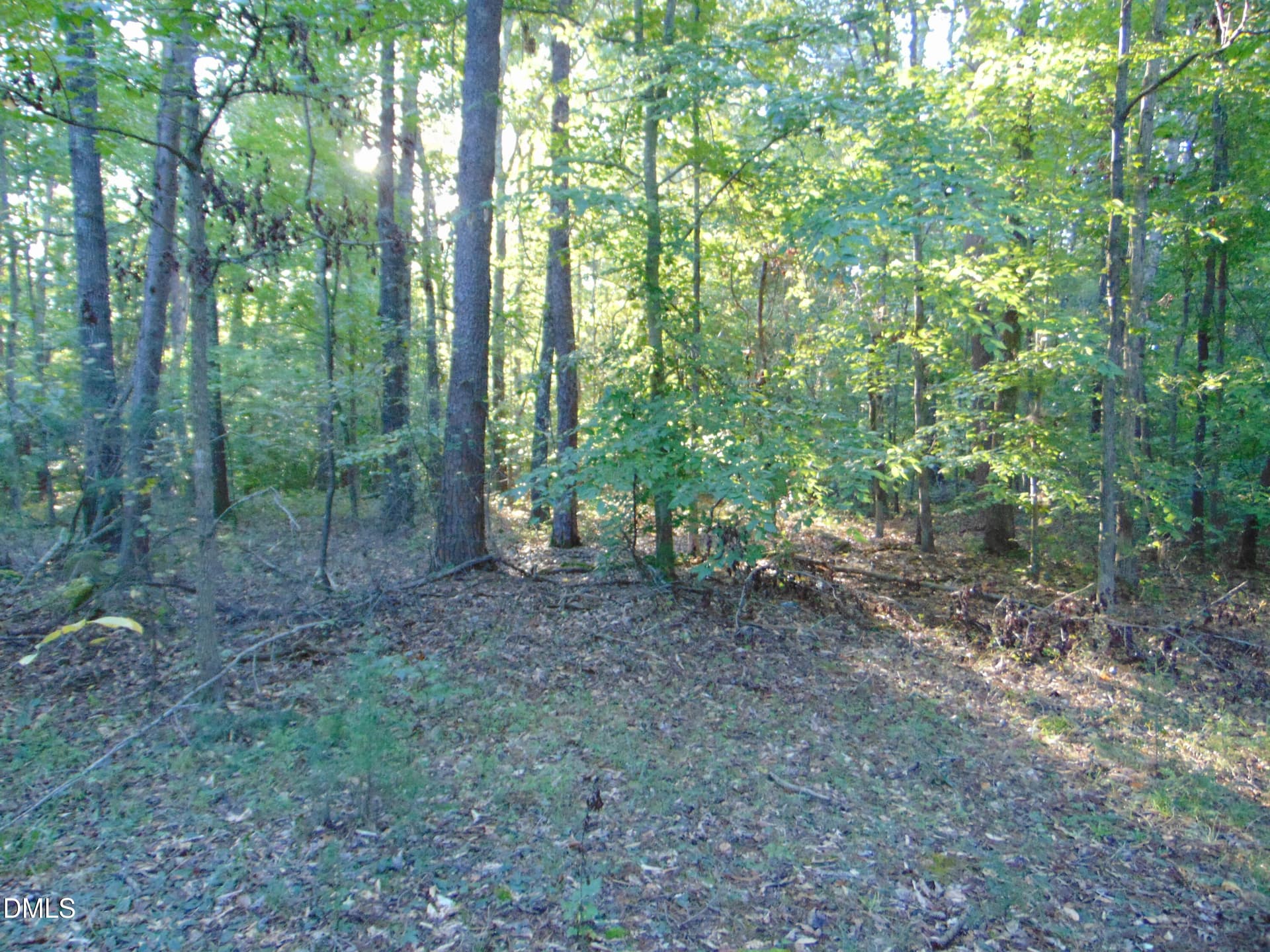 DSC01627 - 0 Allen Jarrett Drive, Mebane, NC 27302