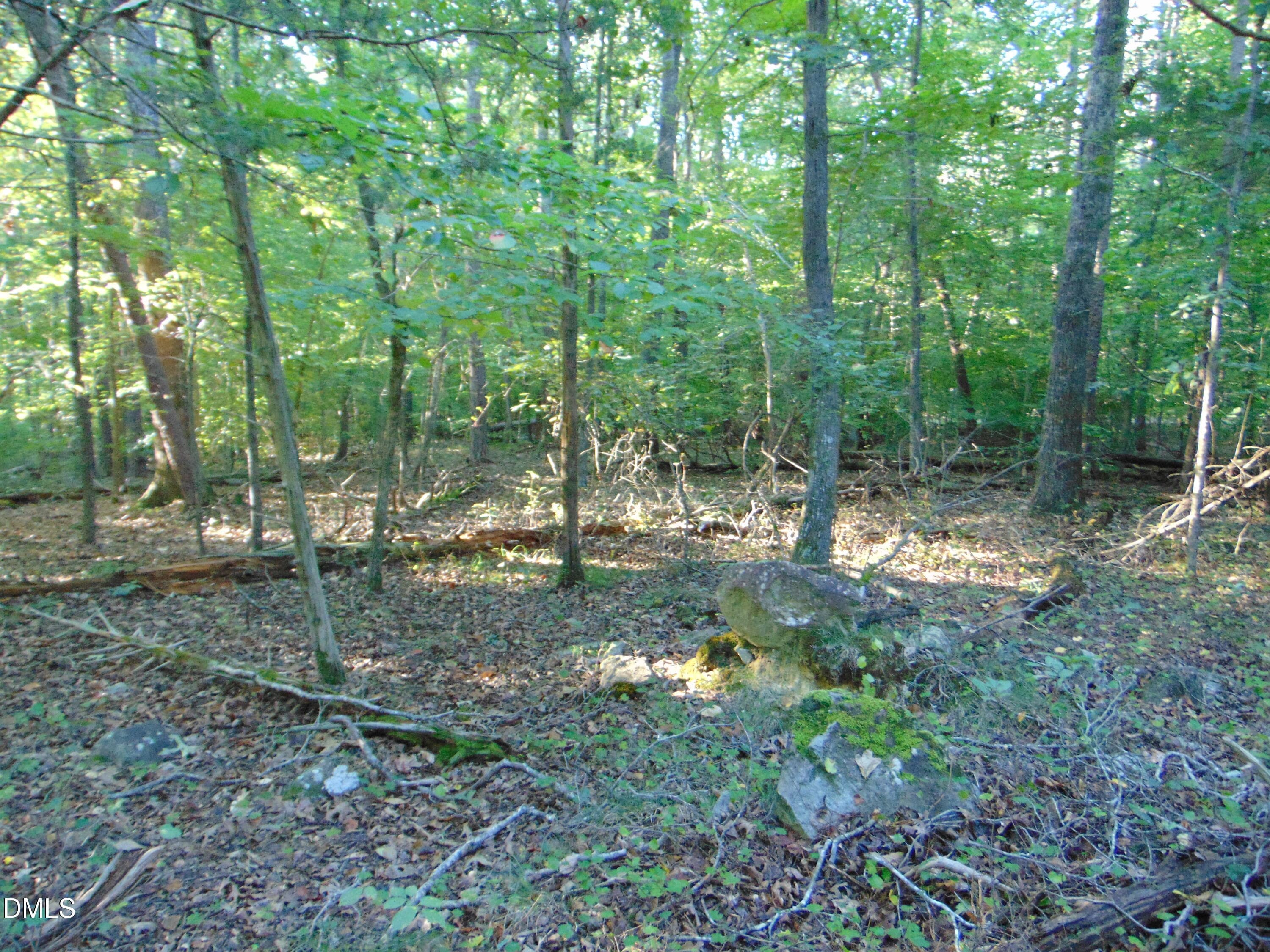 DSC01628 - 0 Allen Jarrett Drive, Mebane, NC 27302, Mebane