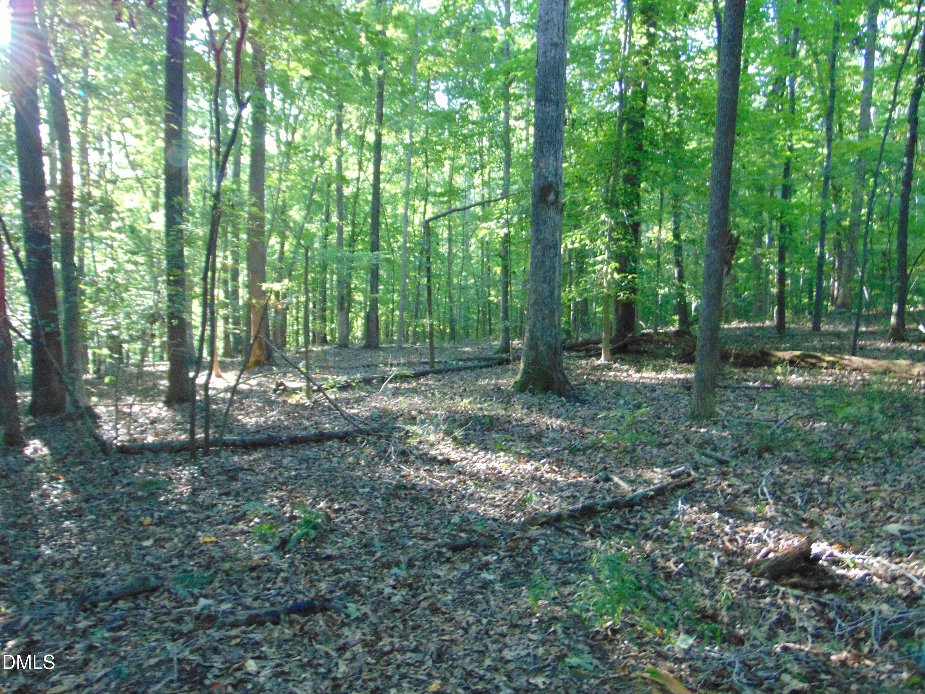 DSC01630 - 0 Allen Jarrett Drive, Mebane, NC 27302, Mebane