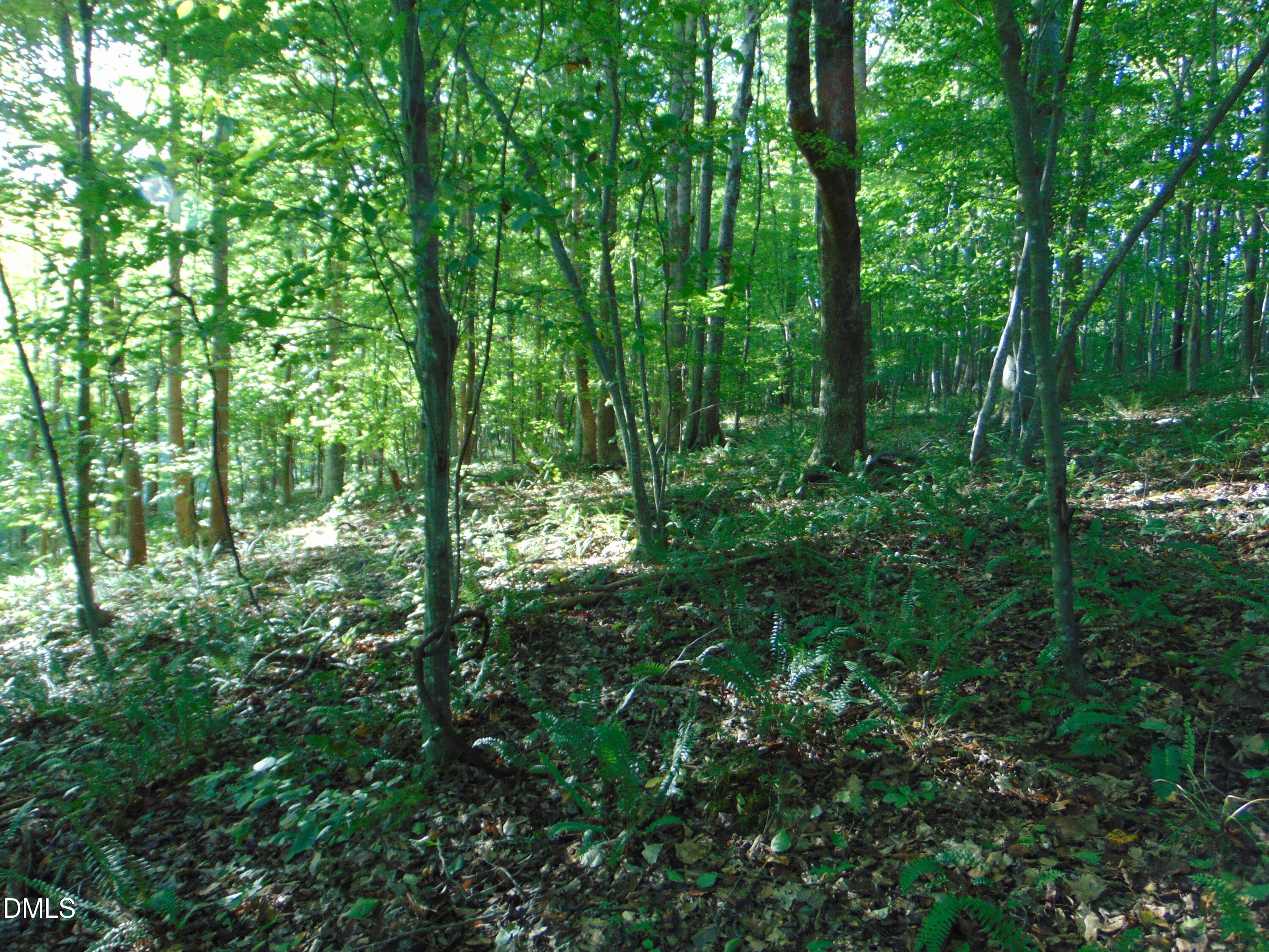 DSC01633 - 0 Allen Jarrett Drive, Mebane, NC 27302, Mebane