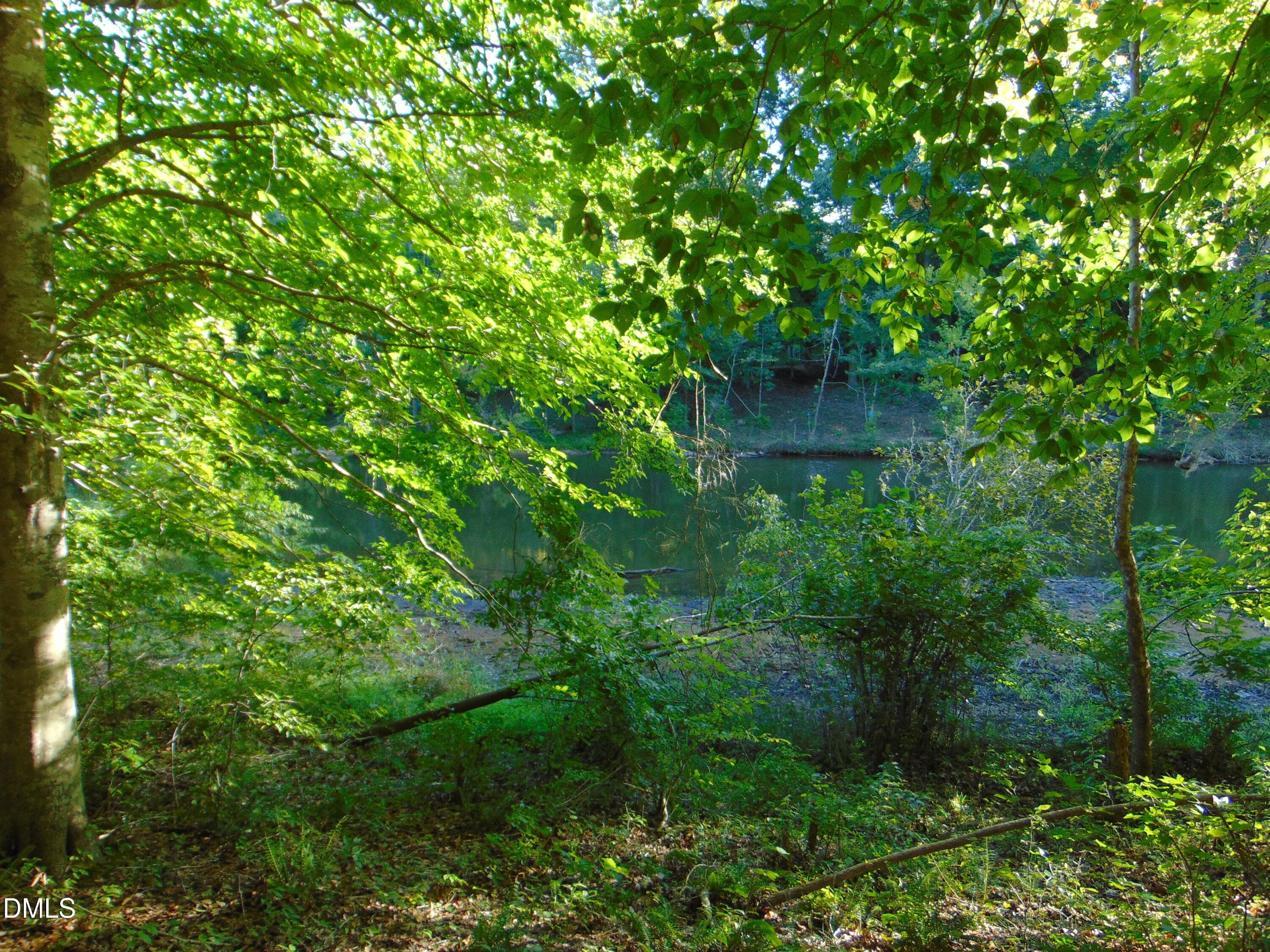 DSC01634 - 0 Allen Jarrett Drive, Mebane, NC 27302, Mebane