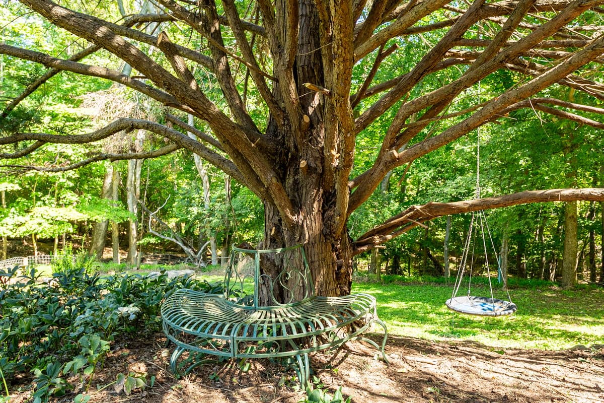 Photo 51 - 114 N Occoneechee Street, Hillsborough, NC 27278, Hillsborough