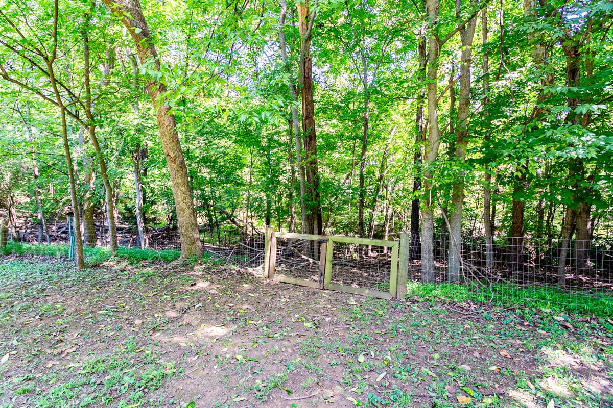 Photo 53 - 114 N Occoneechee Street, Hillsborough, NC 27278, Hillsborough