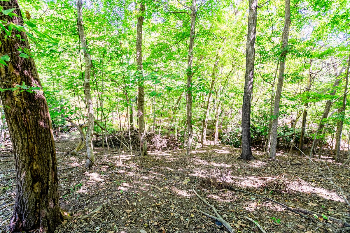 Photo 54 - 114 N Occoneechee Street, Hillsborough, NC 27278, Hillsborough