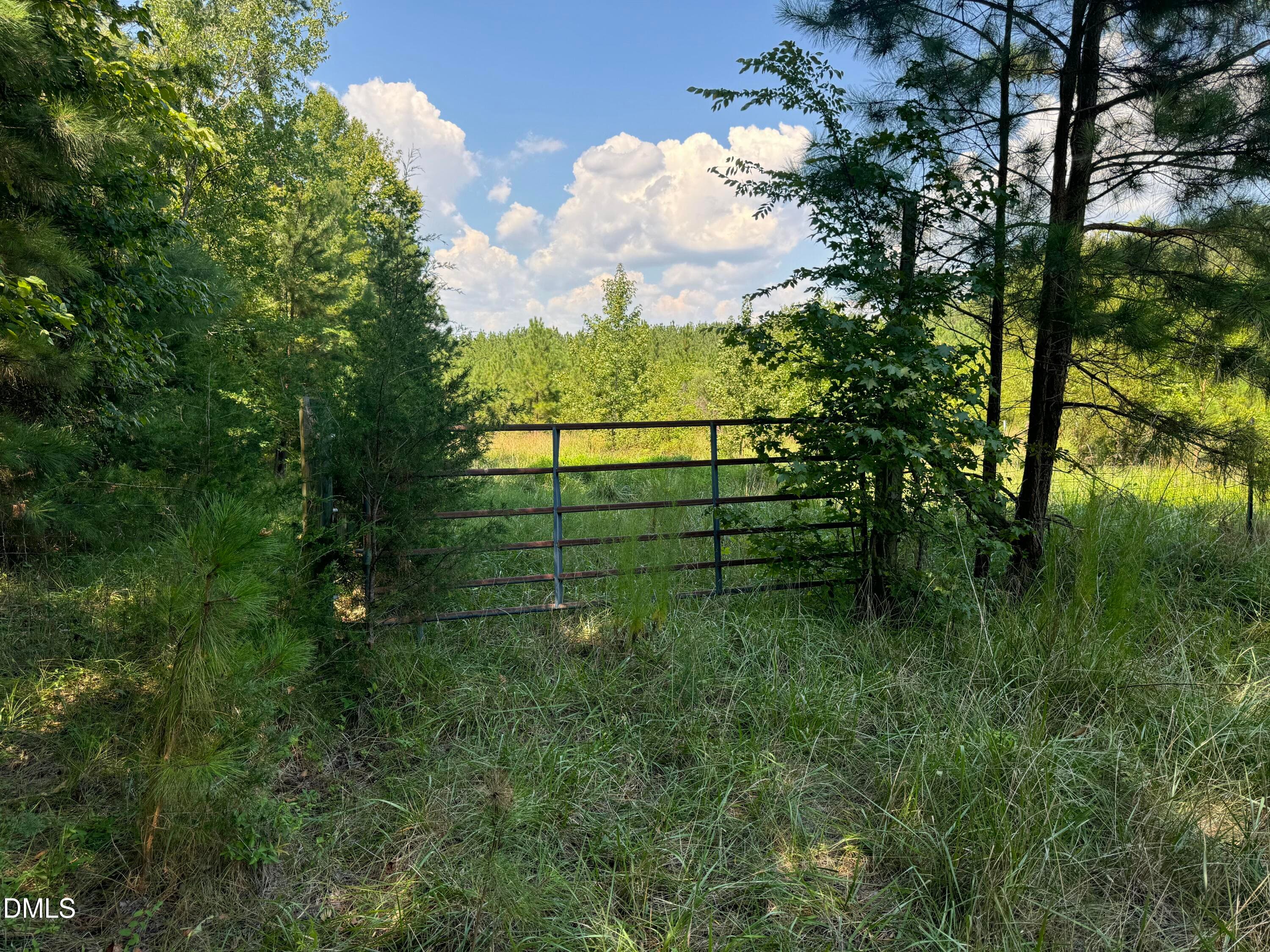 7 - Lot 1 New Sharon Church Road, Hillsborough, NC 27278, Hillsborough