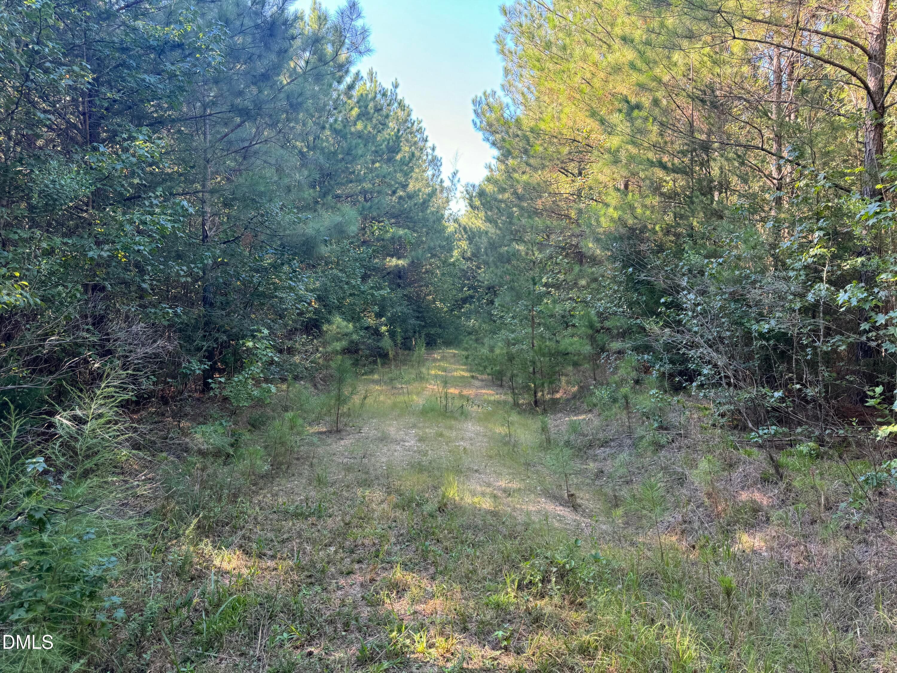 11 - Lot 1 New Sharon Church Road, Hillsborough, NC 27278, Hillsborough