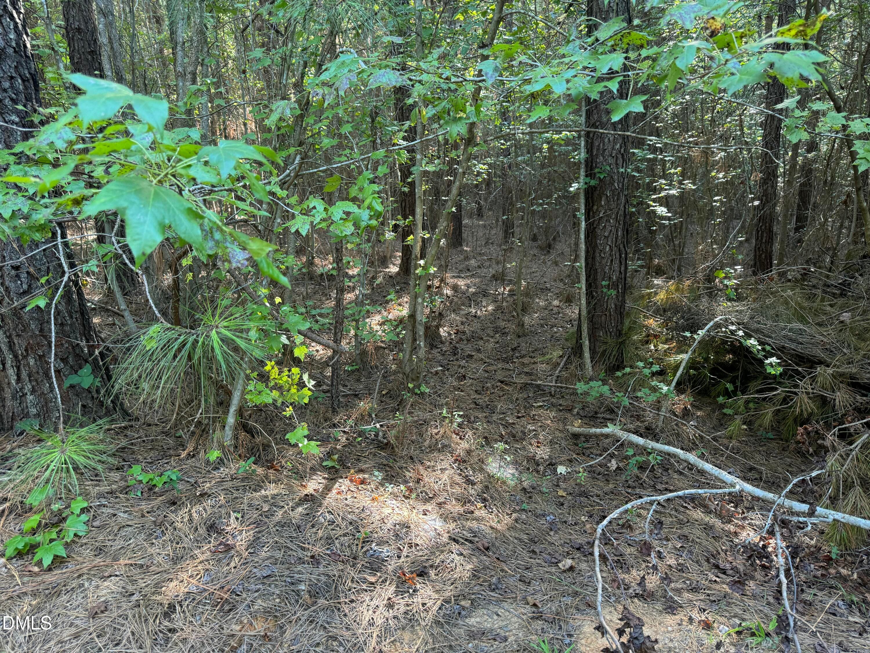 12 - Lot 1 New Sharon Church Road, Hillsborough, NC 27278, Hillsborough