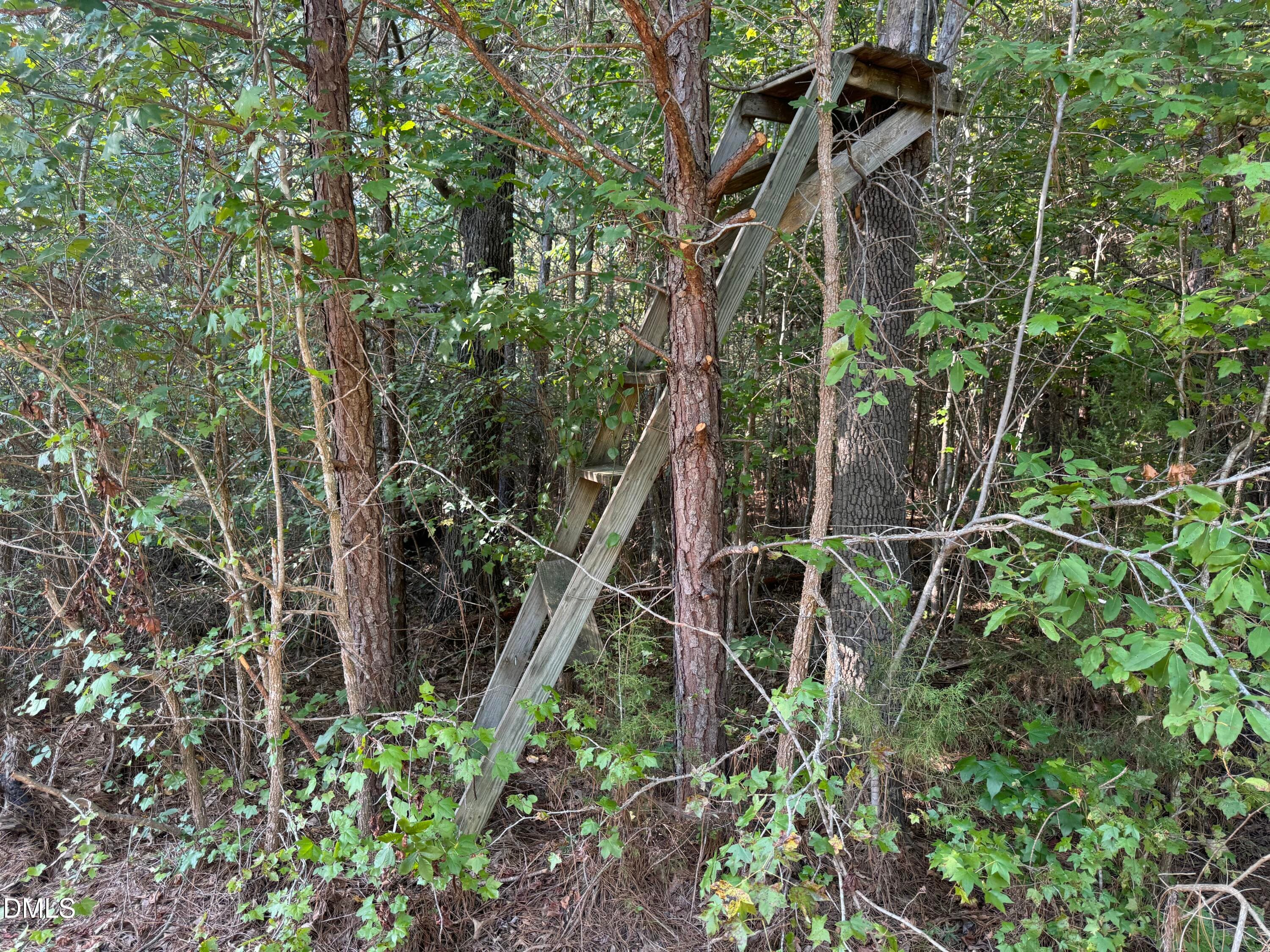 13 - Lot 1 New Sharon Church Road, Hillsborough, NC 27278, Hillsborough