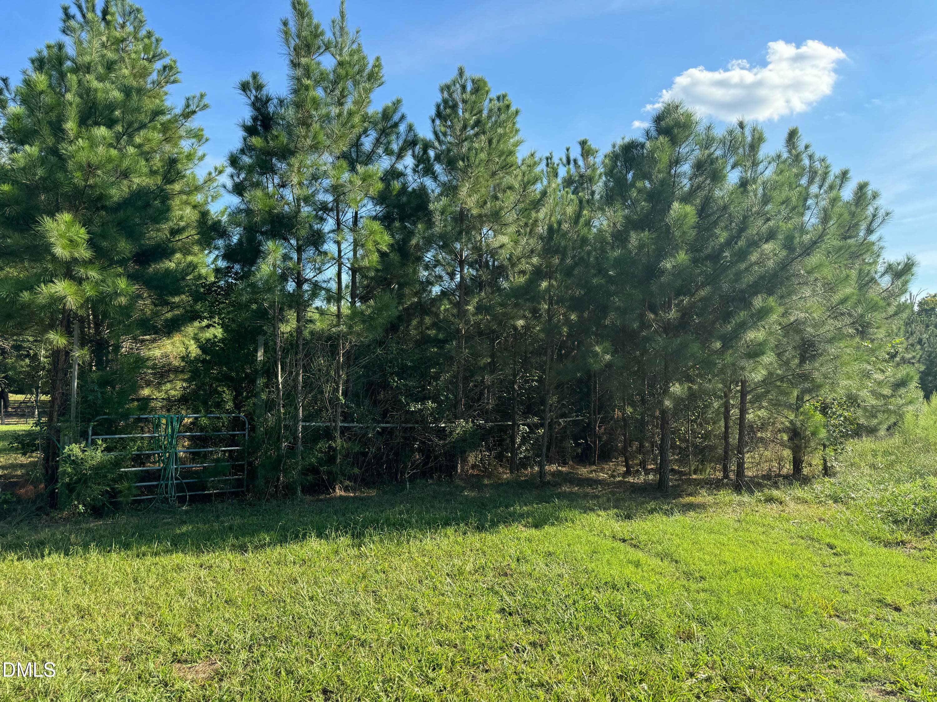 14 - Lot 1 New Sharon Church Road, Hillsborough, NC 27278, Hillsborough