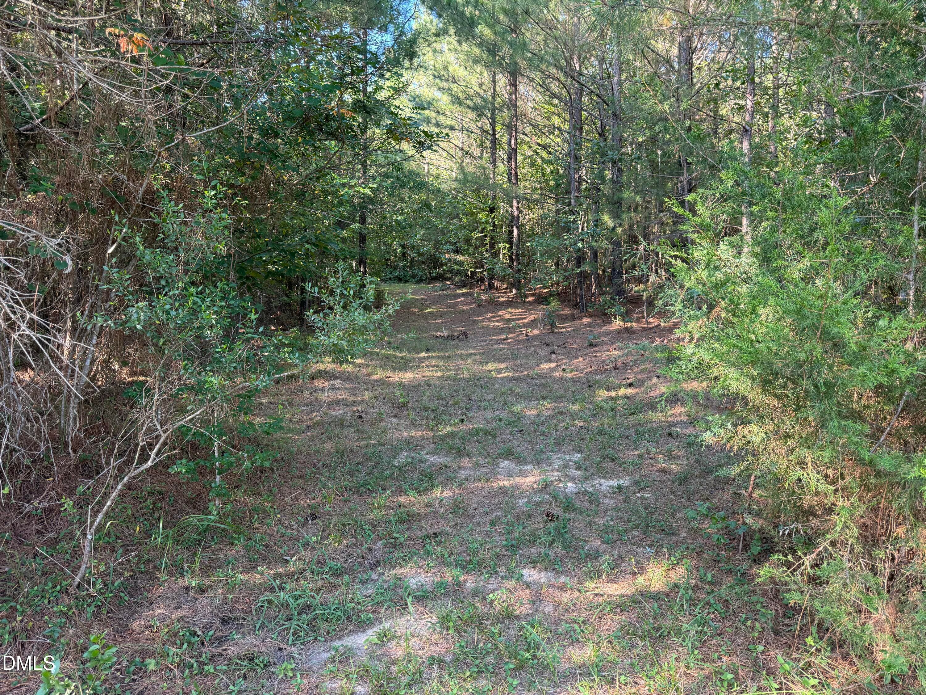 15 - Lot 1 New Sharon Church Road, Hillsborough, NC 27278, Hillsborough