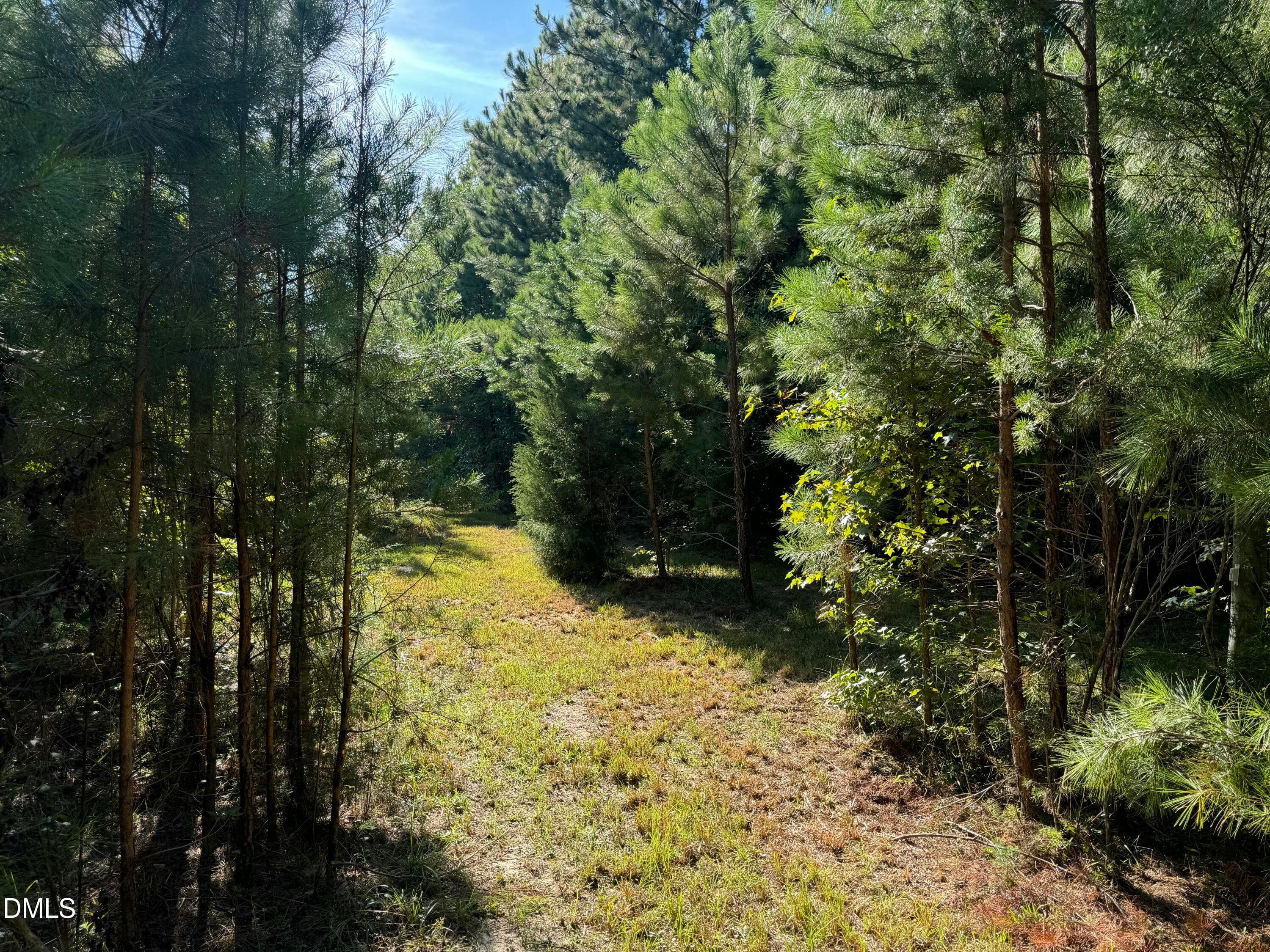 16 - Lot 1 New Sharon Church Road, Hillsborough, NC 27278, Hillsborough
