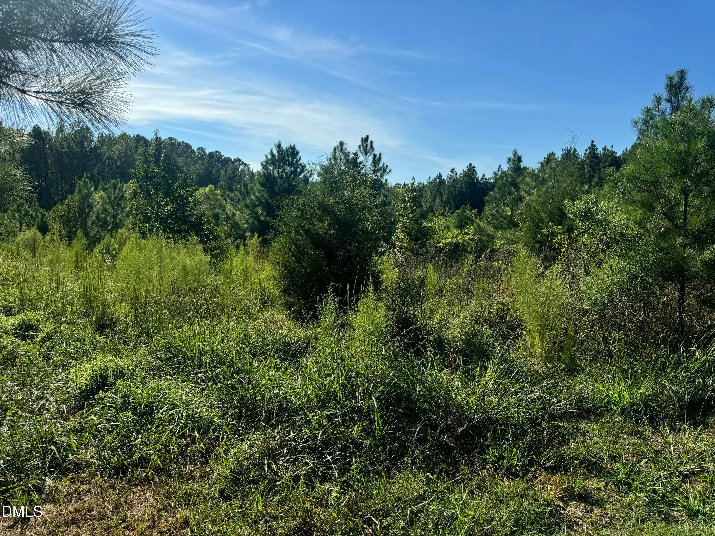 17 - Lot 1 New Sharon Church Road, Hillsborough, NC 27278, Hillsborough