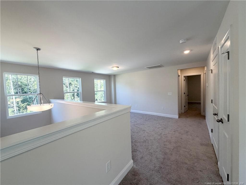 Photo 23 - 541 Grand Griffon Way, Lillington, NC 27546