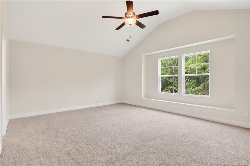 Photo 13 - 125 Omie Branch Lane, Lillington, NC 27546