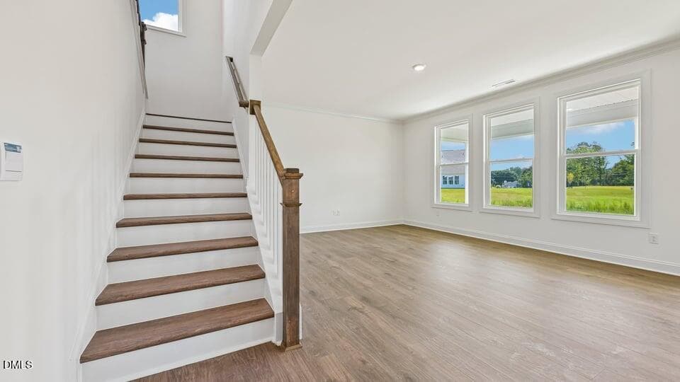 STAIRWELL & FAMILY ROOM - 17 Greenwillow Drive, Fuquay Varina, NC 27526