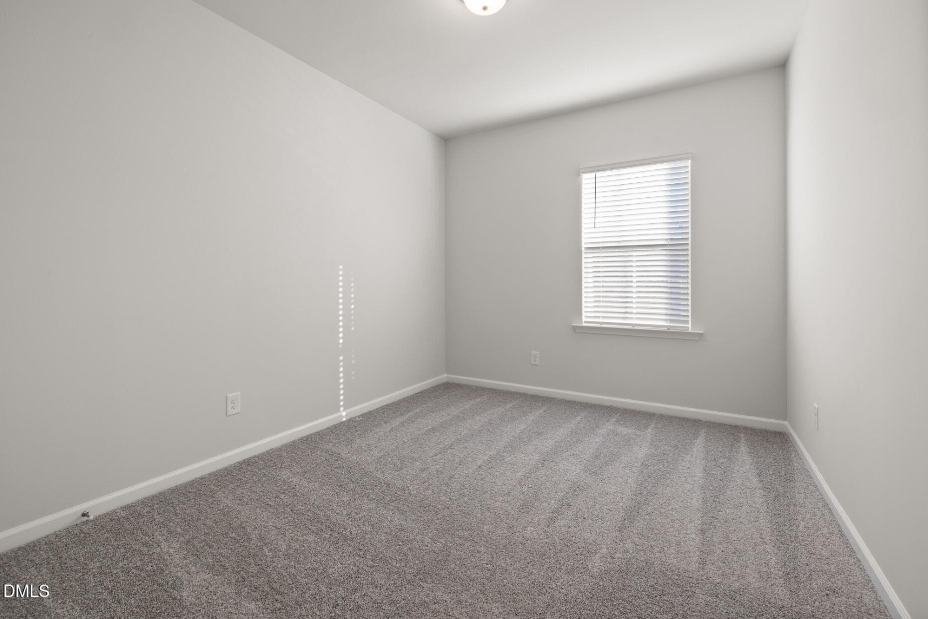 PRO Hampton Lot #74 (5) - 592 Fosterton Cottage Way, Raleigh, NC 27603