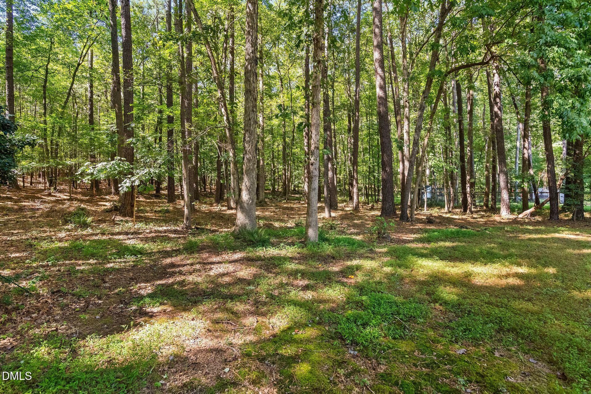 37_NJO03185 - 567 Timberknoll Lane, Wake Forest, NC 27587