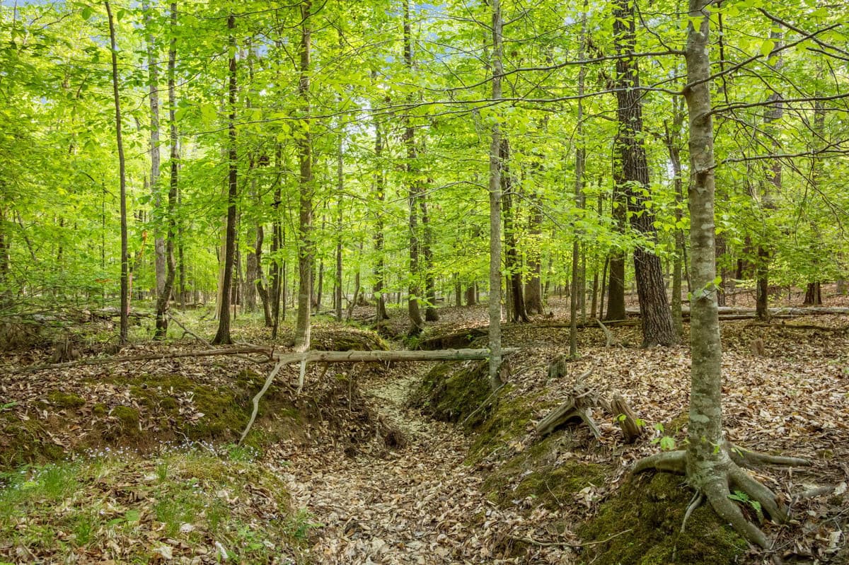 2a Union Grove Church Road, Chapel Hill, NC 27516