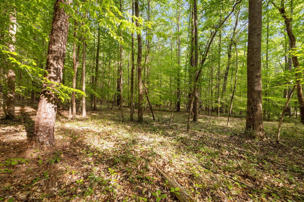 20260417155219095378000000-o.jpg - 2a Union Grove Church Road, Chapel Hill, NC 27516, Chapel Hill
