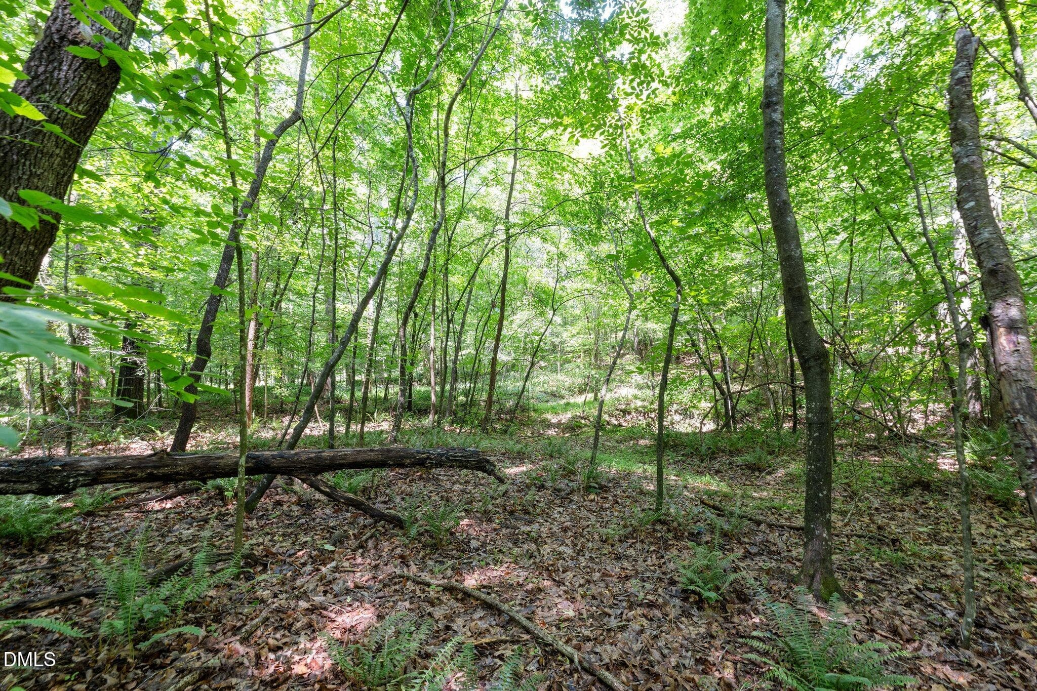 19-web-or-mls-_1397600 - 6910 Long Meadow Lane, Whitsett, NC 27377