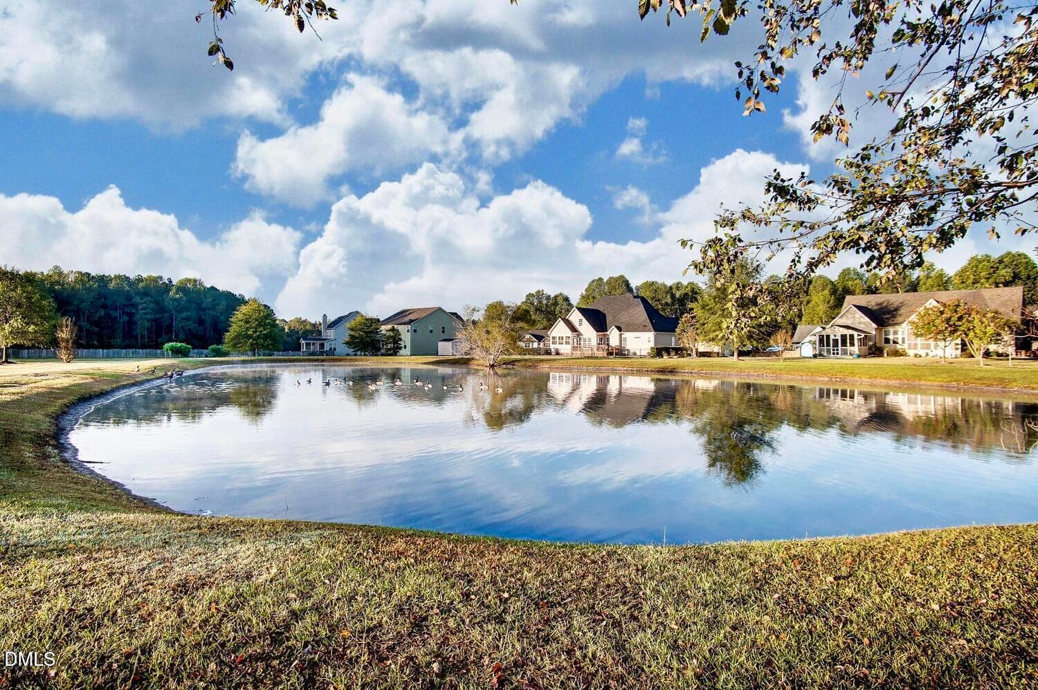 pond - 8313 Walking Fern Court, Willow Springs, NC 27592, Willow Springs