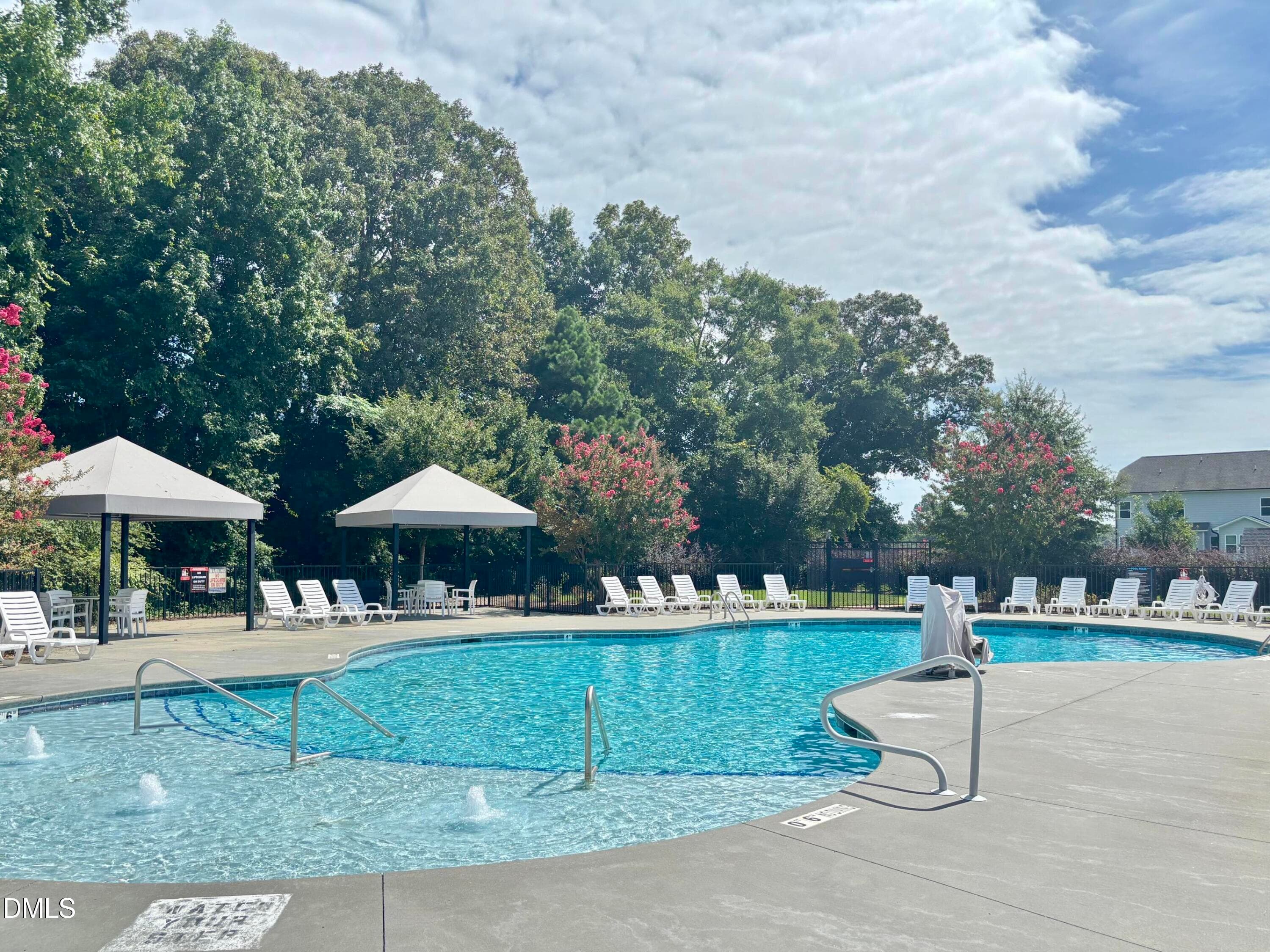 pool - 8313 Walking Fern Court, Willow Springs, NC 27592, Willow Springs