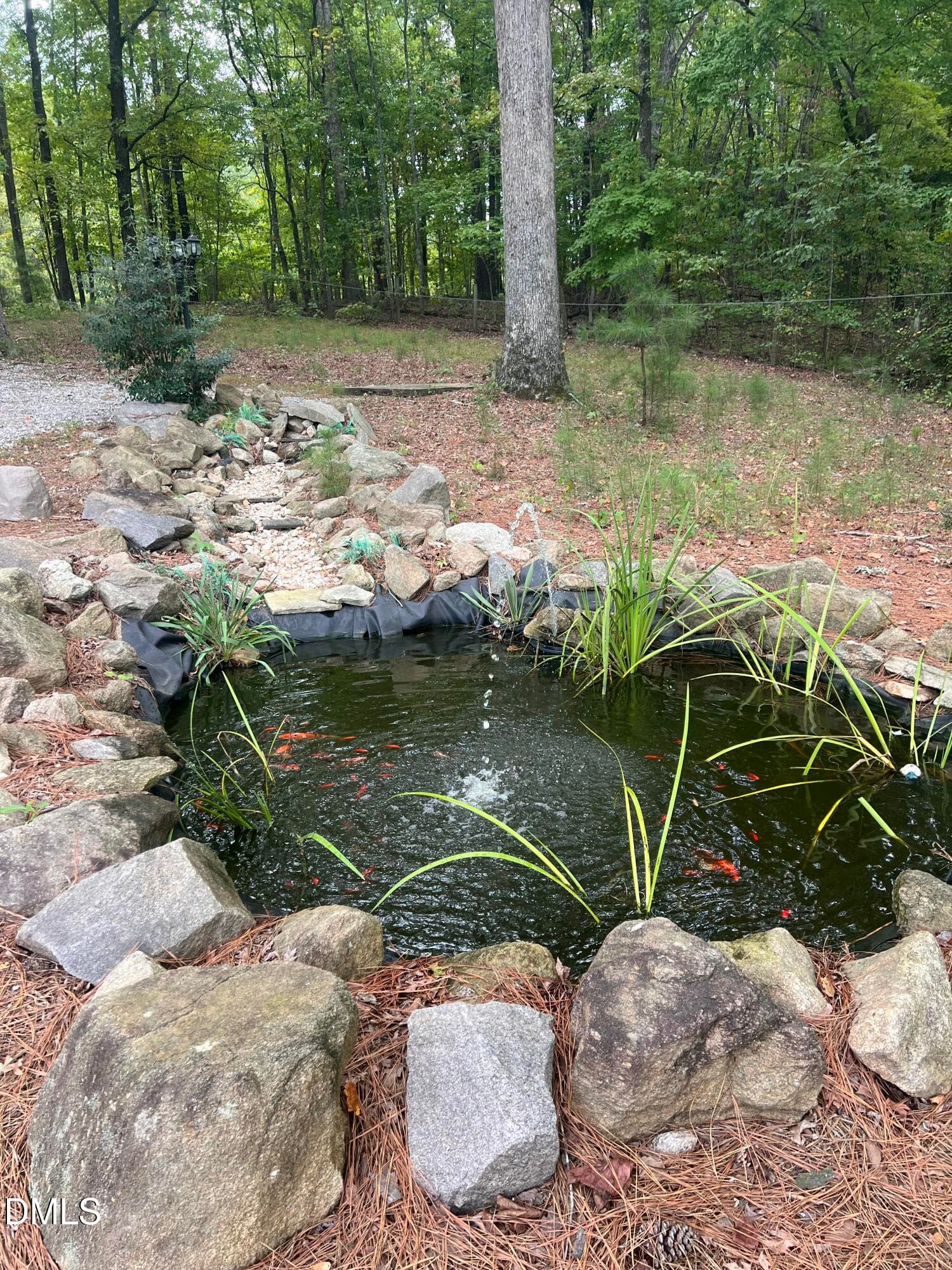 IMG_1494 - 1009 Old Keith Road, Wake Forest, NC 27587