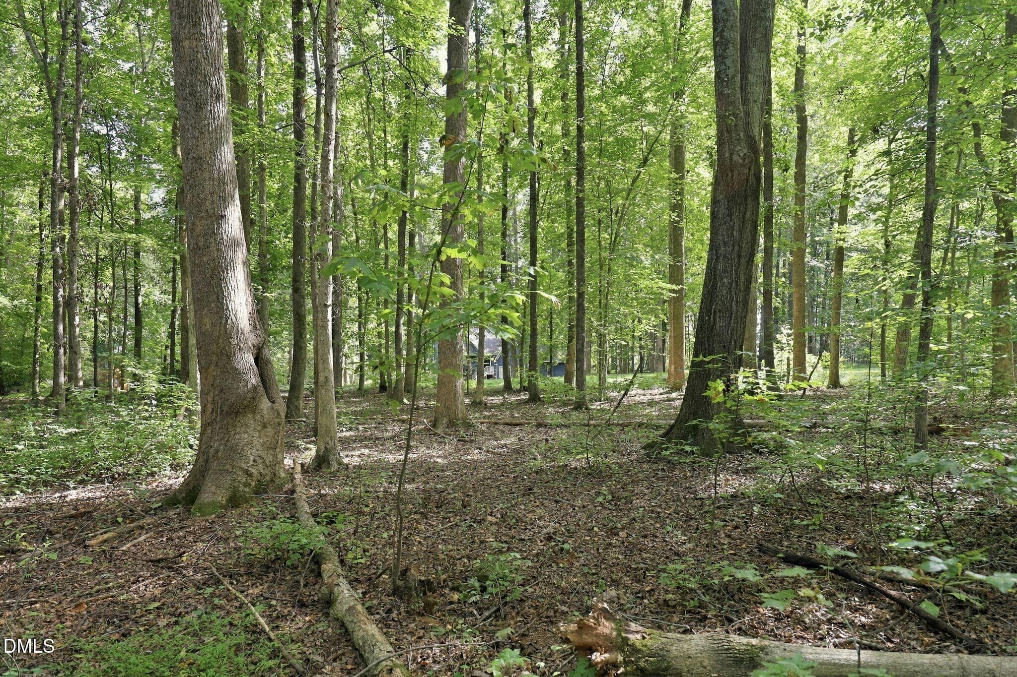 26-web-or-mls-IMG_0046 - 605 Canotage Court, Cedar Grove, NC 27231
