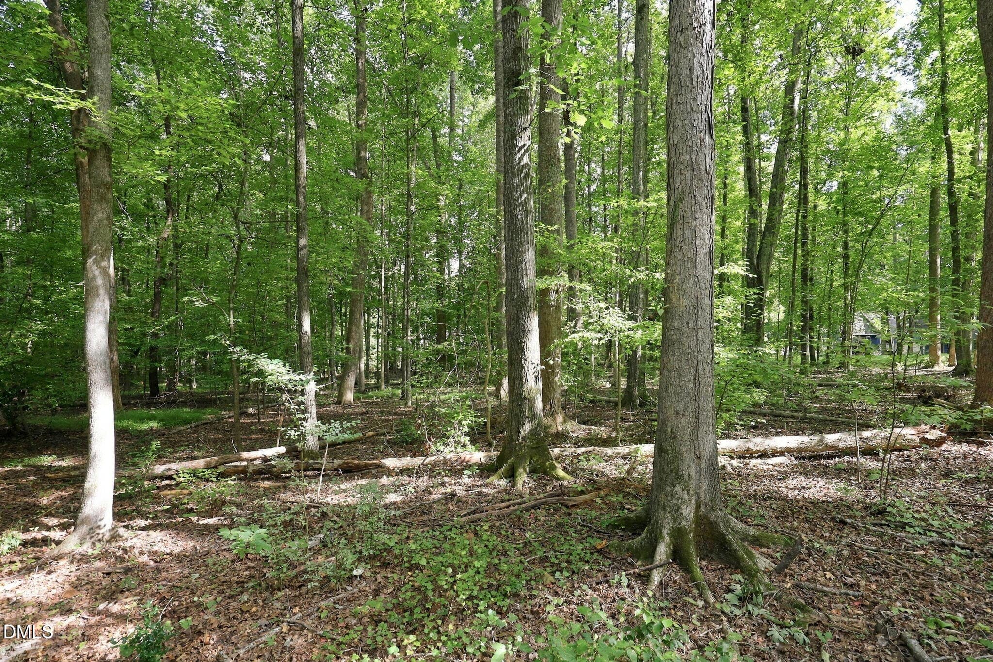 24-web-or-mls-IMG_0044 - 605 Canotage Court, Cedar Grove, NC 27231