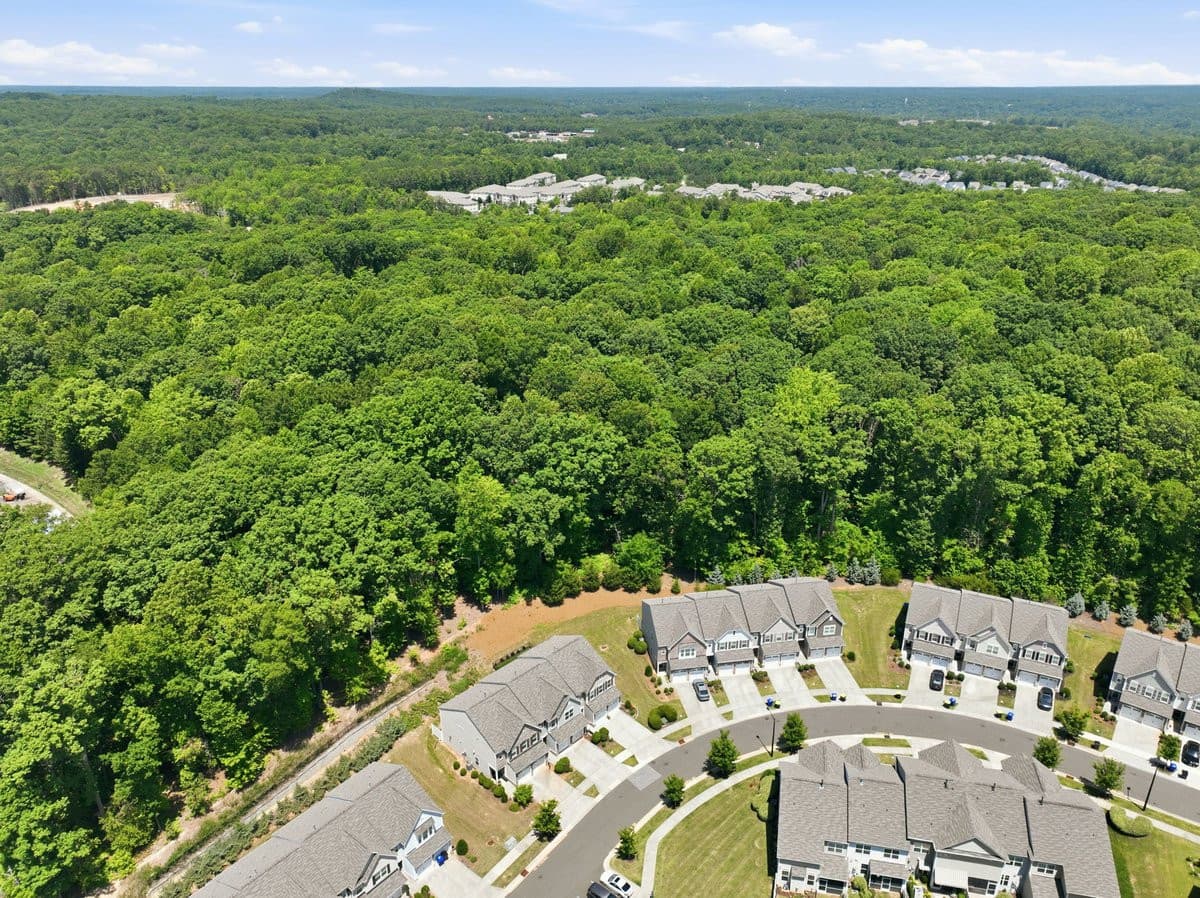 12-web-or-mls-DJI_0938_edit.jpg - 429 Great Eno Path, Hillsborough, NC 27278, Hillsborough