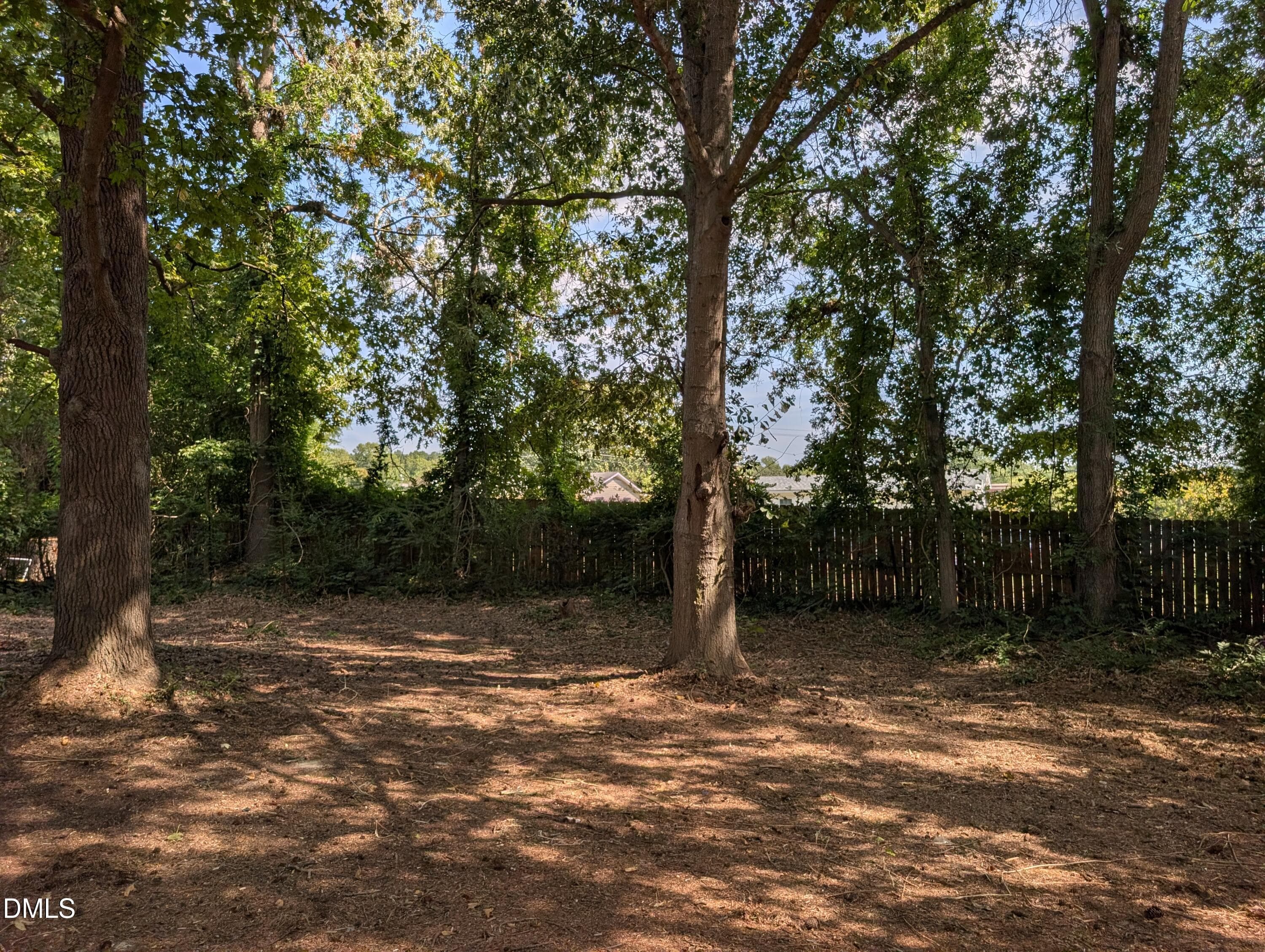 Backyard - 904 N Lee Street, Zebulon, NC 27597