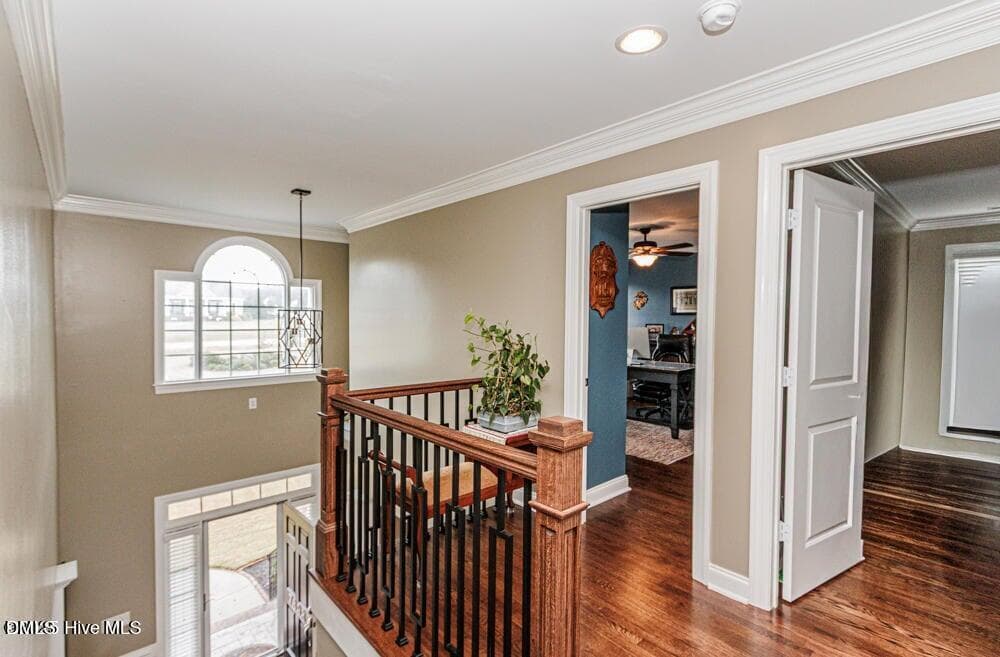 20250912163318528319000000-o - 7693 Briar Creek Road, Rocky Mount, NC 27803, Rocky Mount