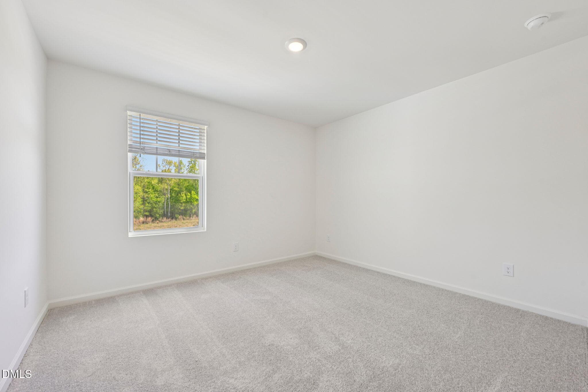 46-web-or-mls-Quarry Rd 539-S1104-034 - 205 Tar Banks Drive, Louisburg, NC 27549, Louisburg
