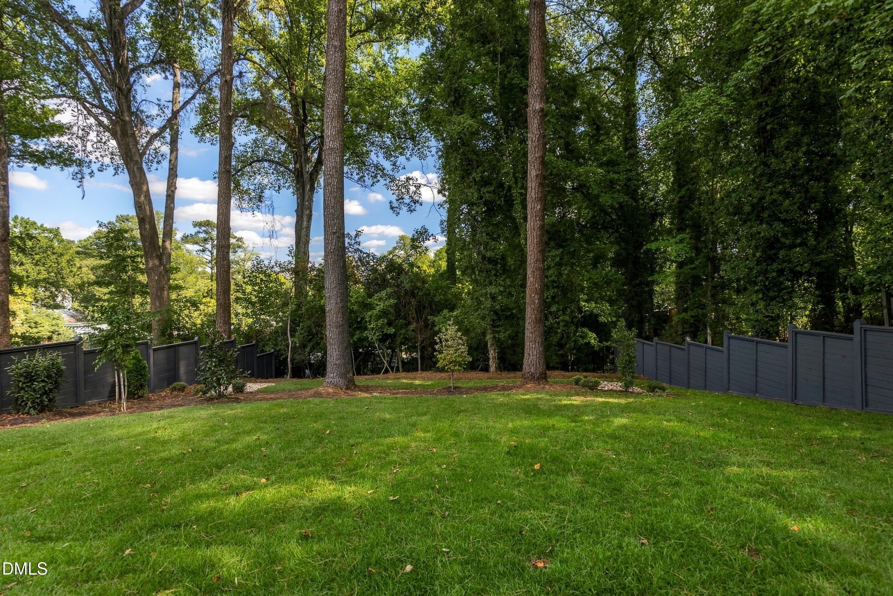 Backyard - 800 Brooks Avenue, Raleigh, NC 27607, Raleigh