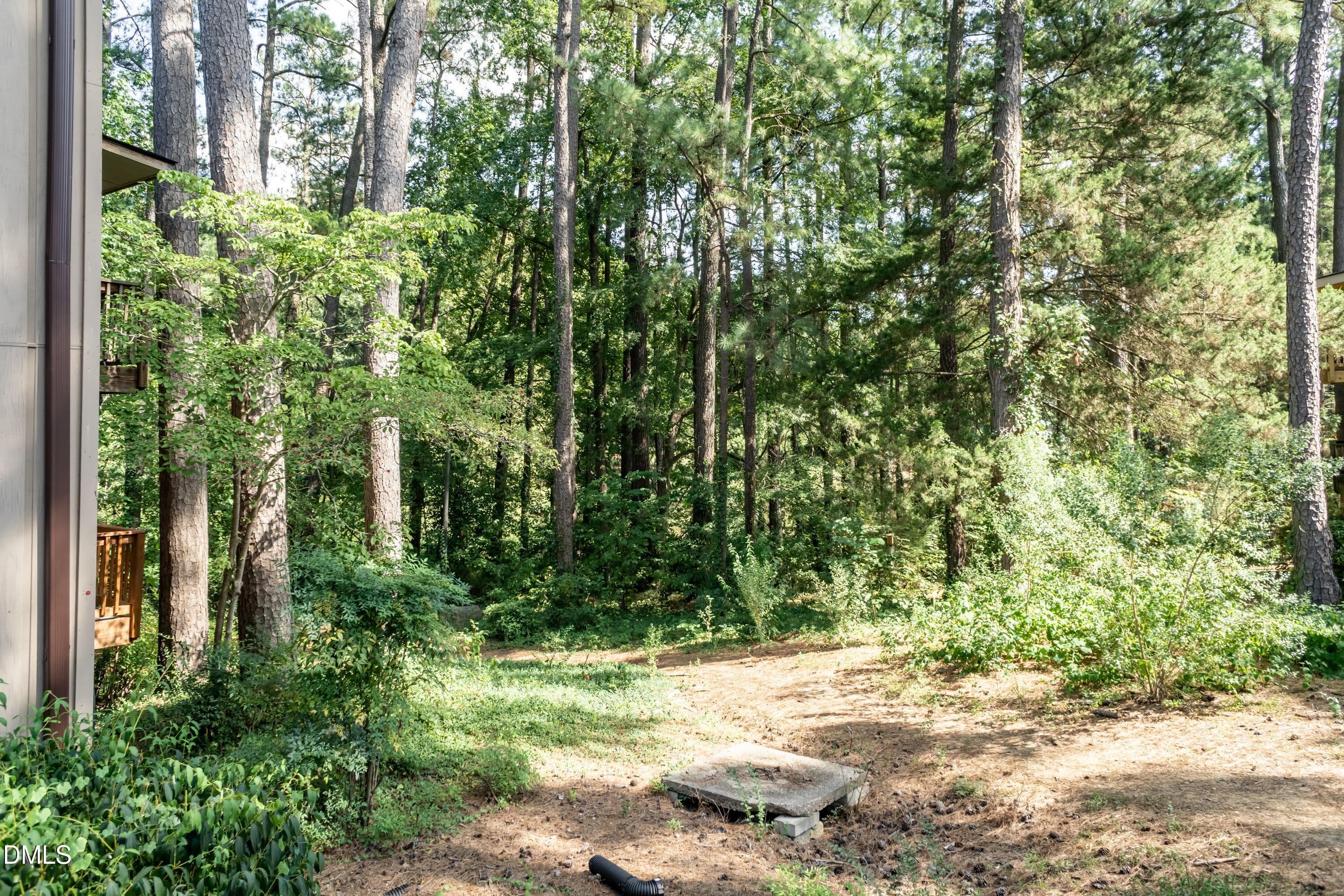 Back Yard 01 - 647 Pine Ridge Place, Raleigh, NC 27609, Raleigh